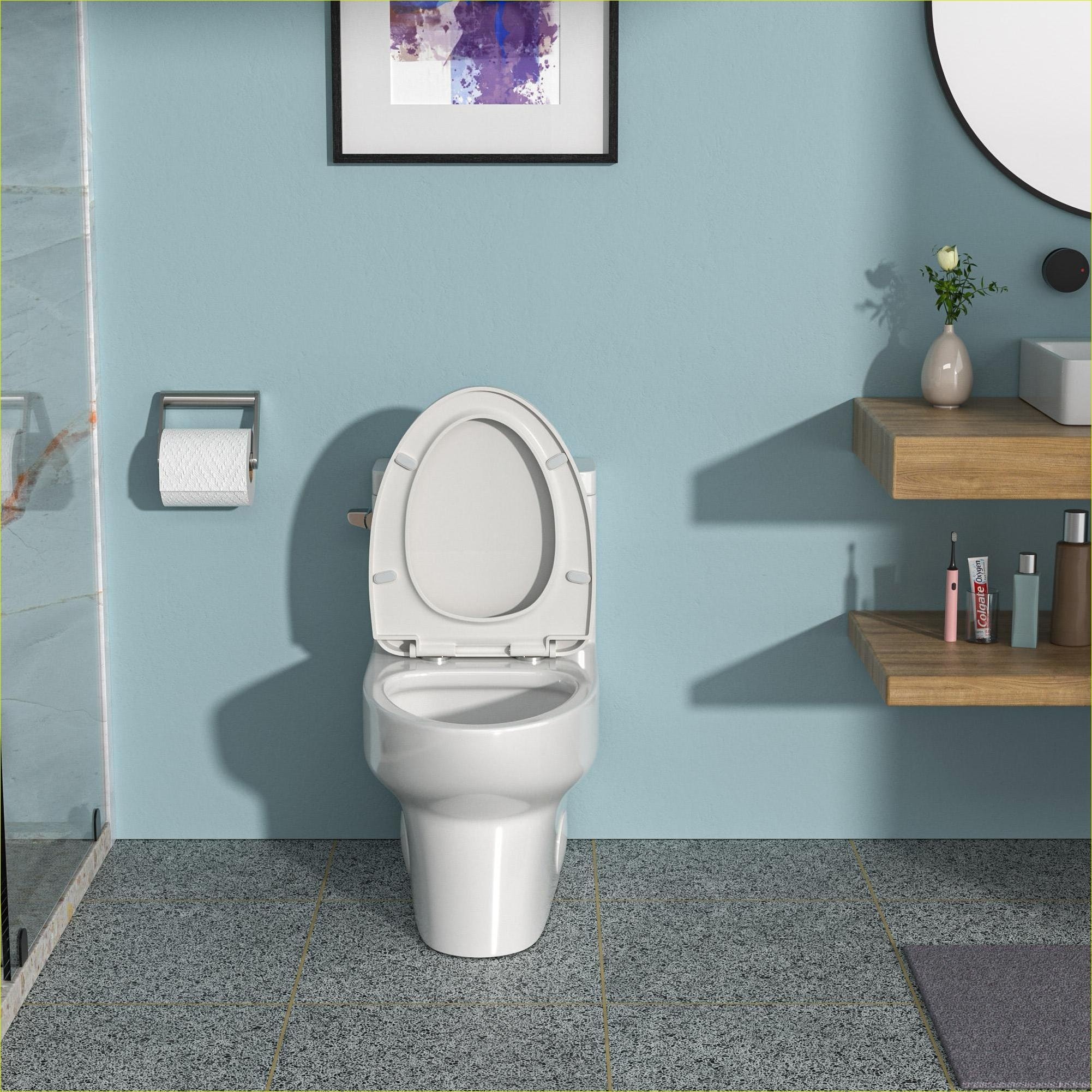 Watnature G1BP7RVN60IR toilets - View #2