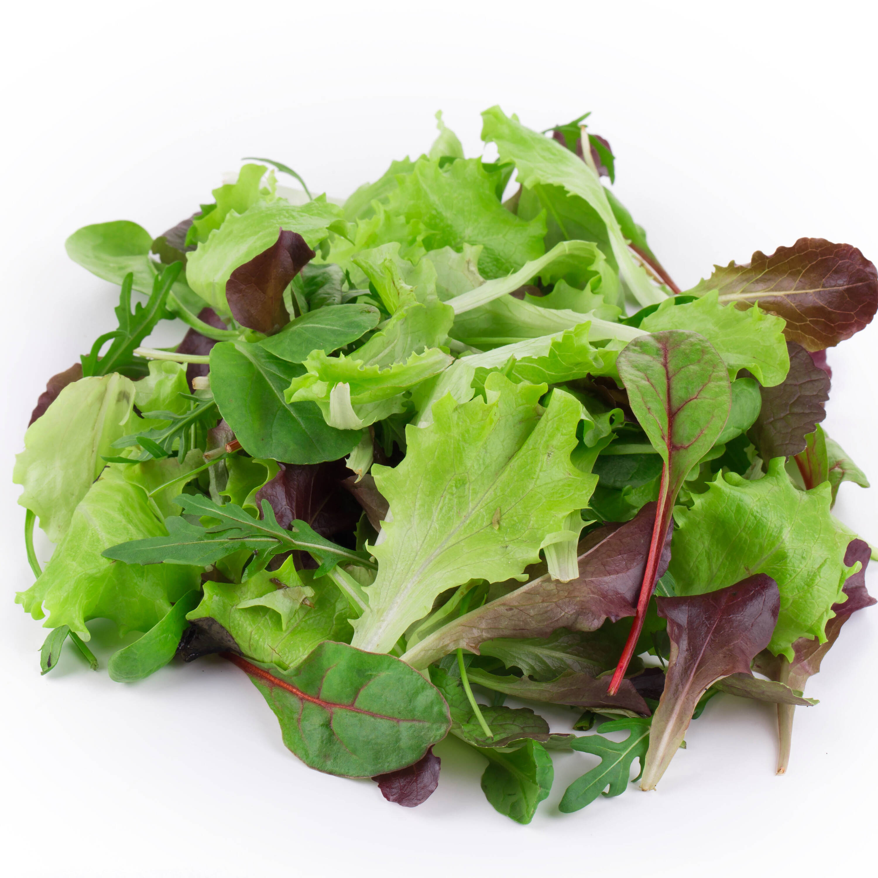 Proven Winners VEGLET1027504 Lettuce Plant in 4.25 Inch(es) Pot