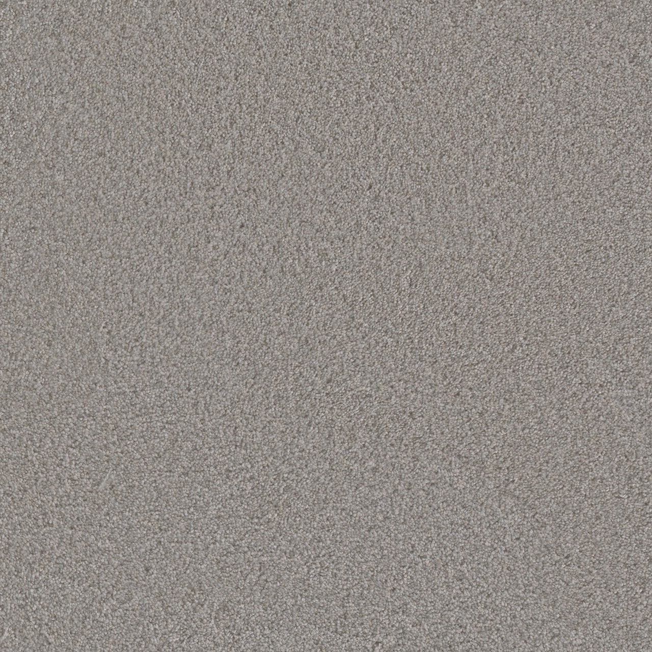 Stainmaster (sample) Riverland Gray 46-oz Sq Yard Solution-dyed 