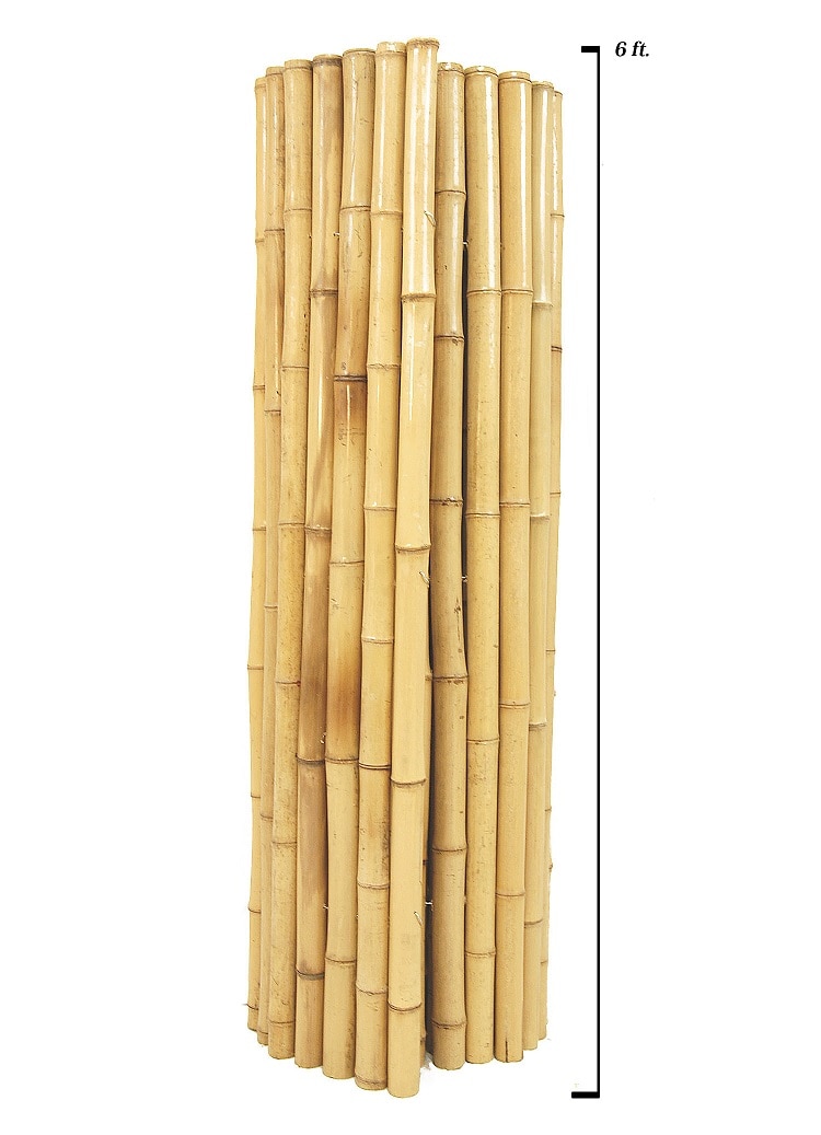 Backyard X-Scapes 2 in. D x 90 in. L Natural Bamboo Poles (10-Pack/Bundle)  HDD-BP07 - The Home Depot