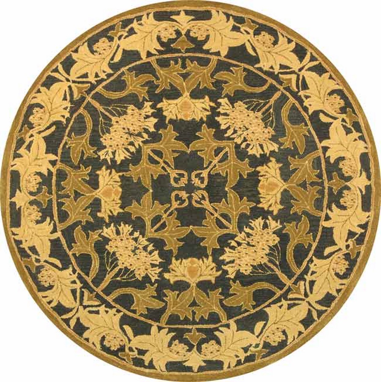 Safavieh AN541A-4R rugs - View #2
