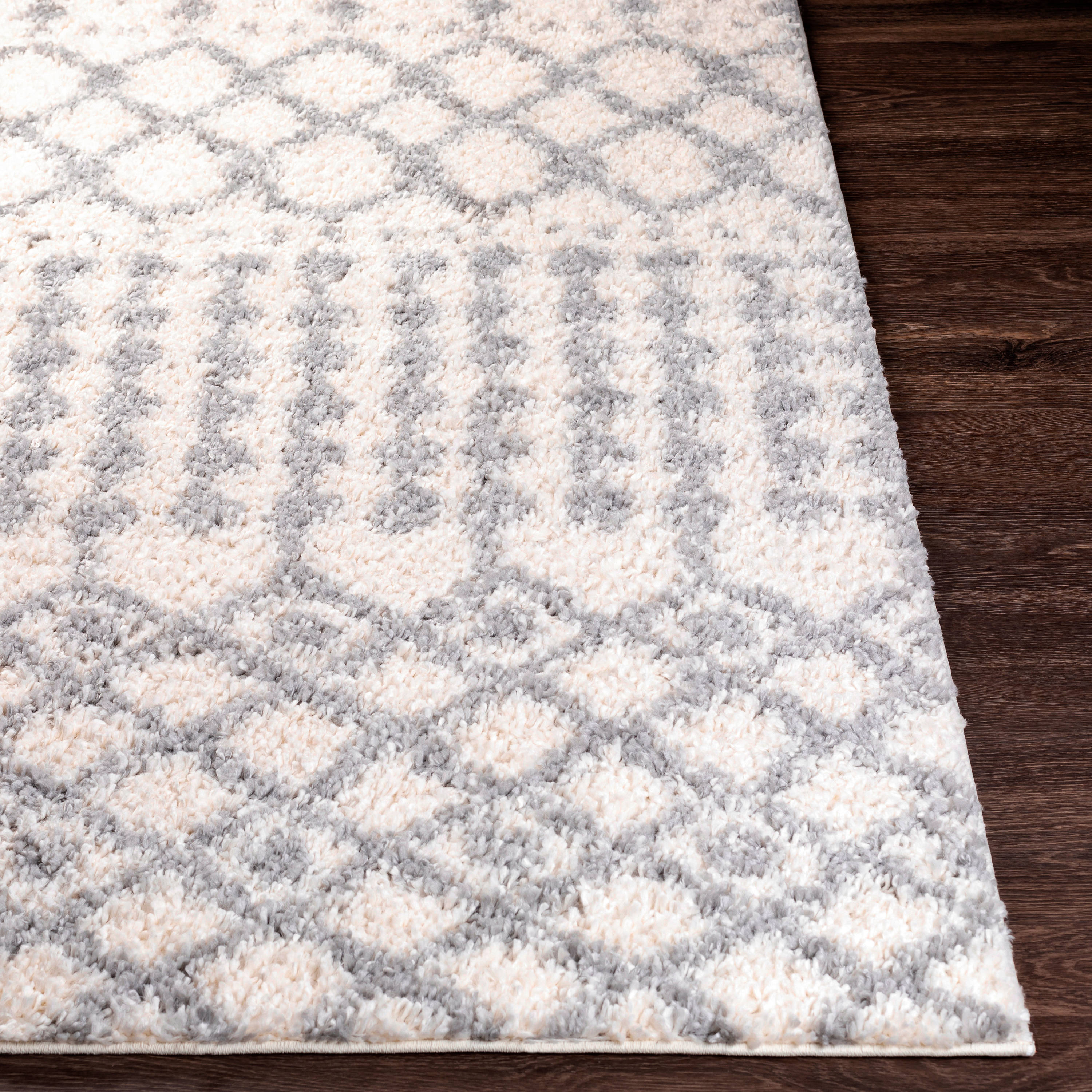 Artistic Weavers DXS2312-23 rugs - View #3