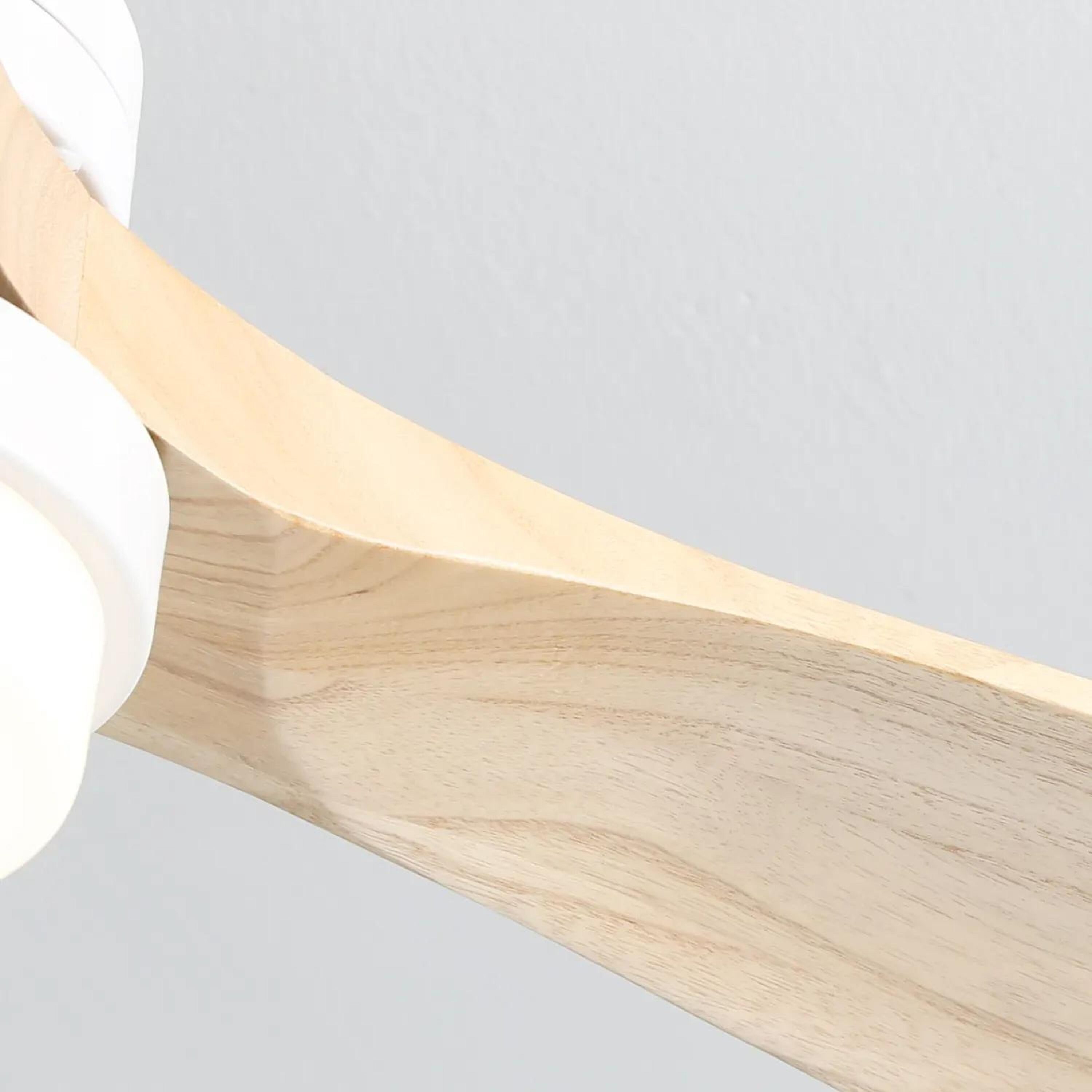 Bayfeve BFKS-45941-CF Ceiling-Fans - View #11