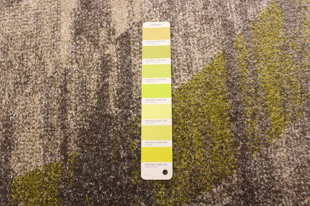 ECARPETGALLERY 345743 rugs - View #8