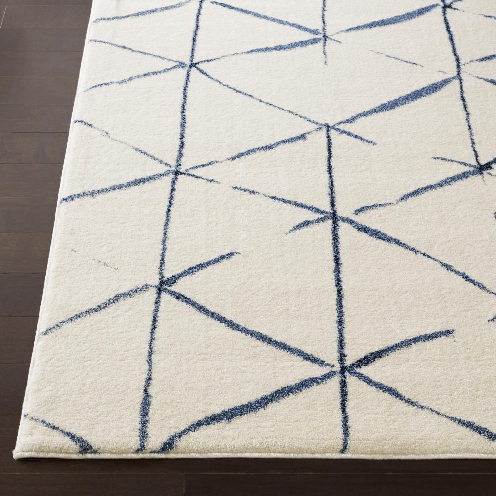 Surya BYL1006-7101010 rugs - View #3