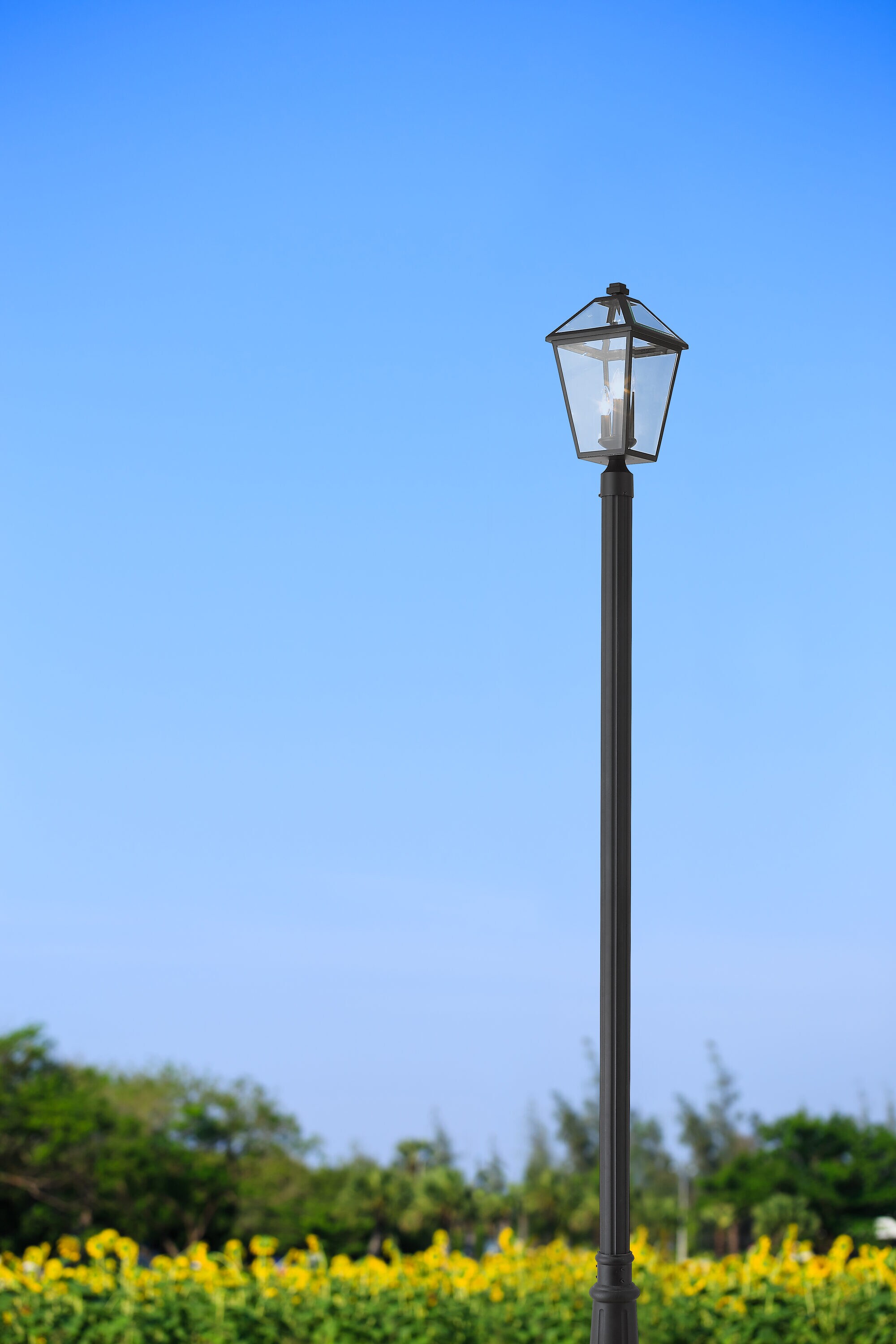 Z-Lite 579PHBR-557P-BK Post-Lights - View #4