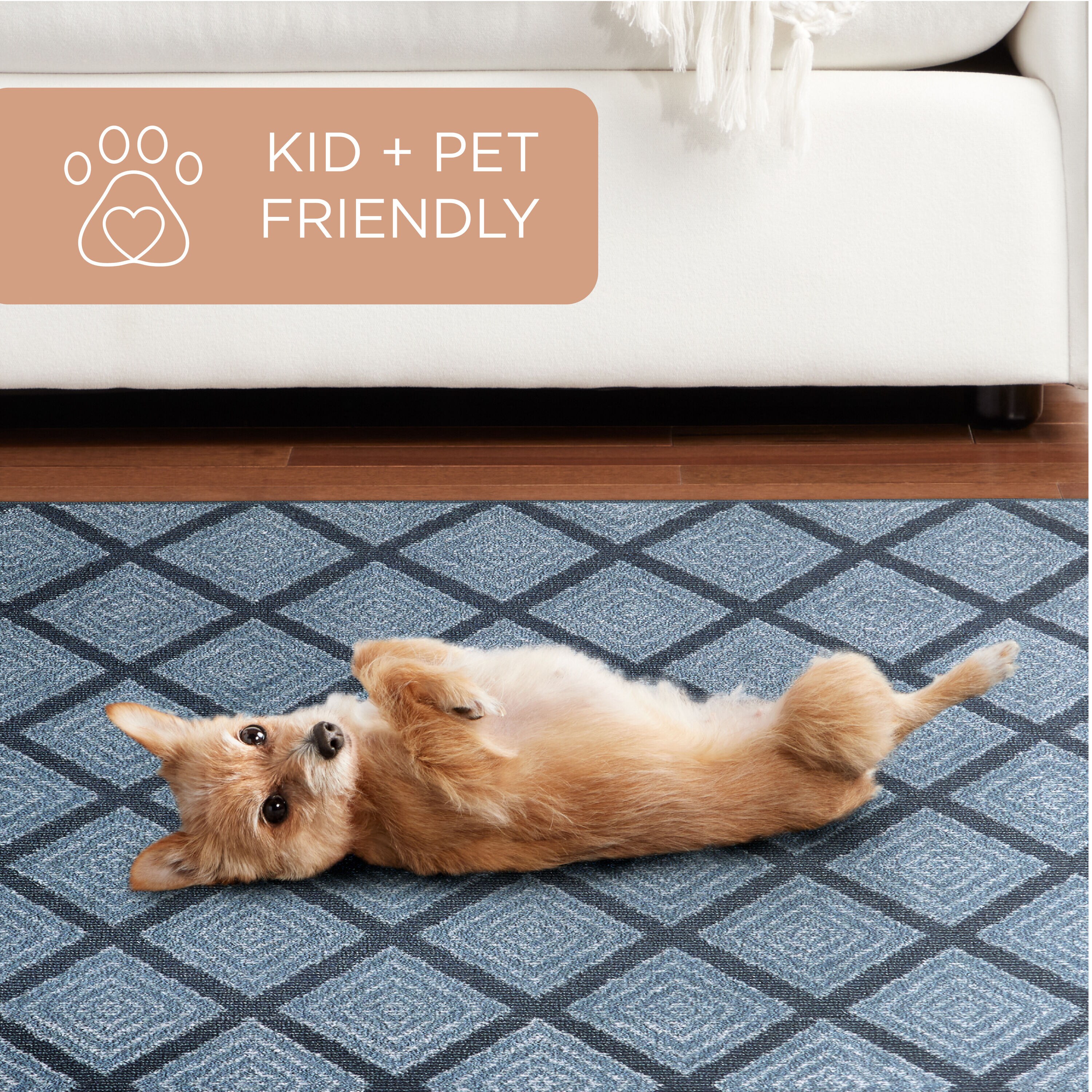 Town & Country Living 2-87-309 rugs - View #4