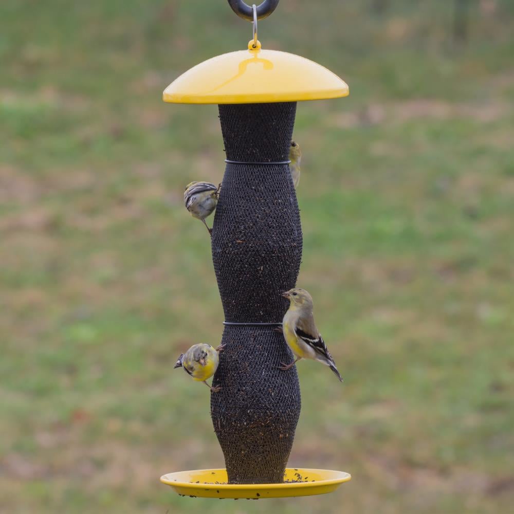 lowes finch feeder