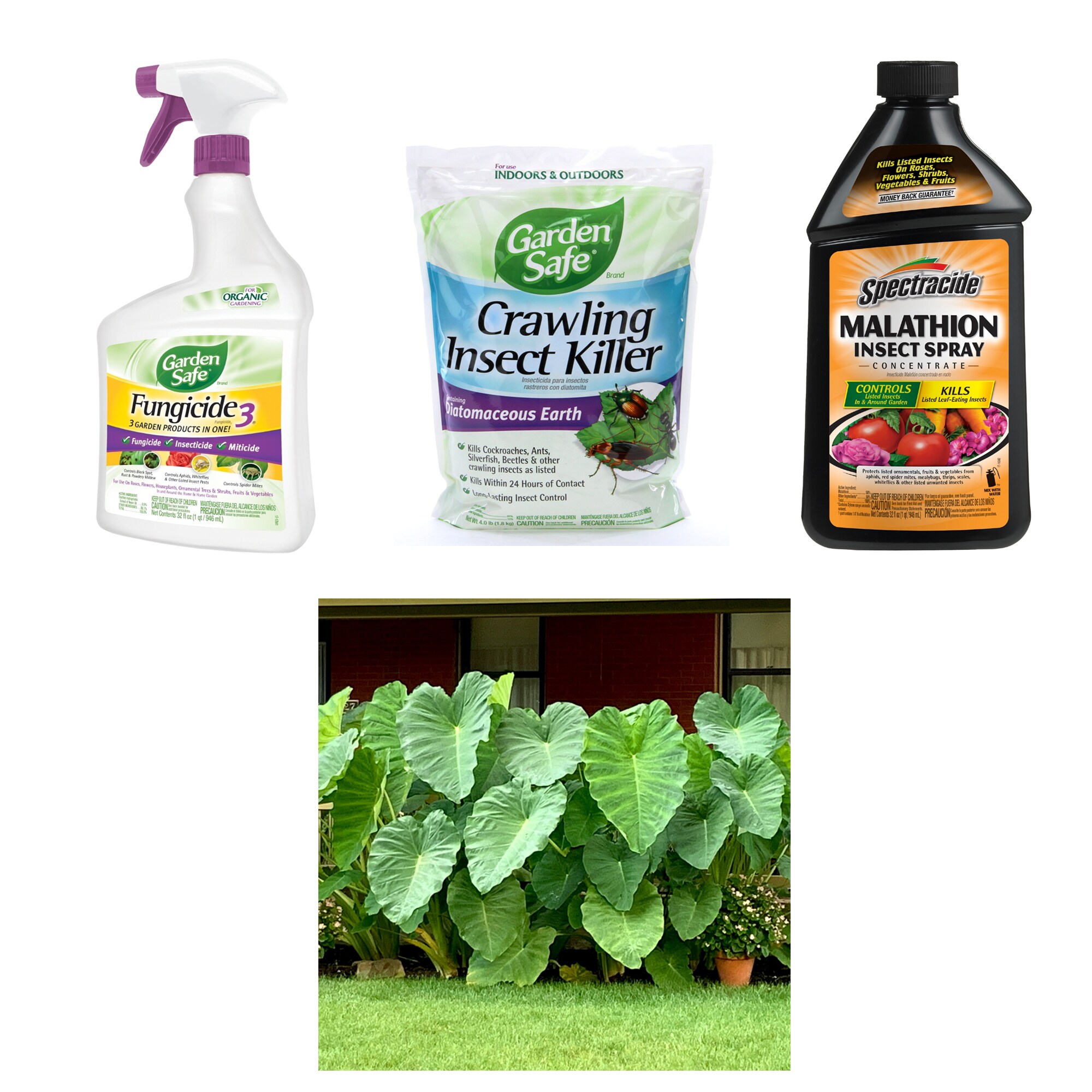 Garden Safe 32 oz. Houseplant and Garden Insect Killer Ready-to-Use  HG-93214 - The Home Depot