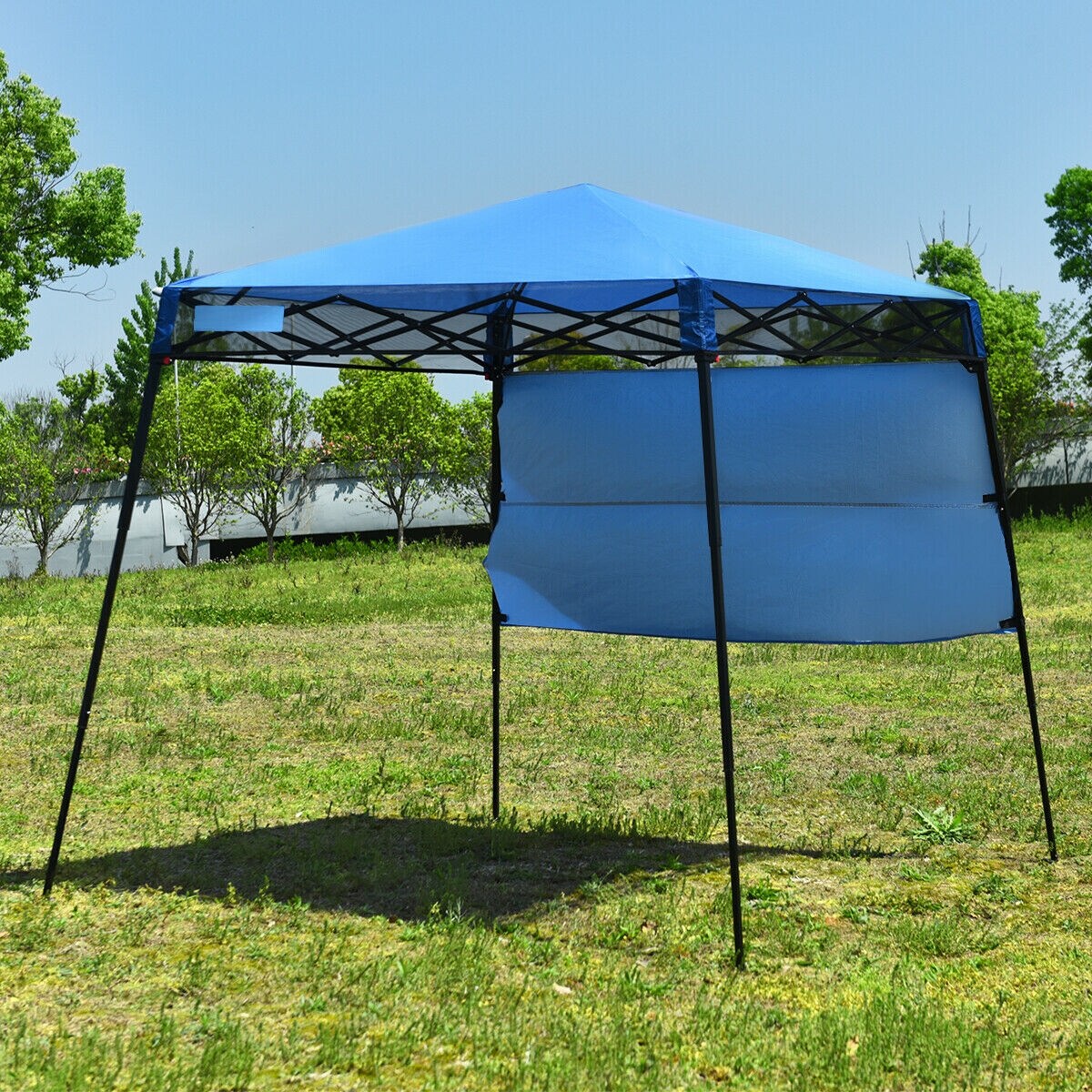 Clihome CWCH-OP70298BL Canopies-Sl - View #2
