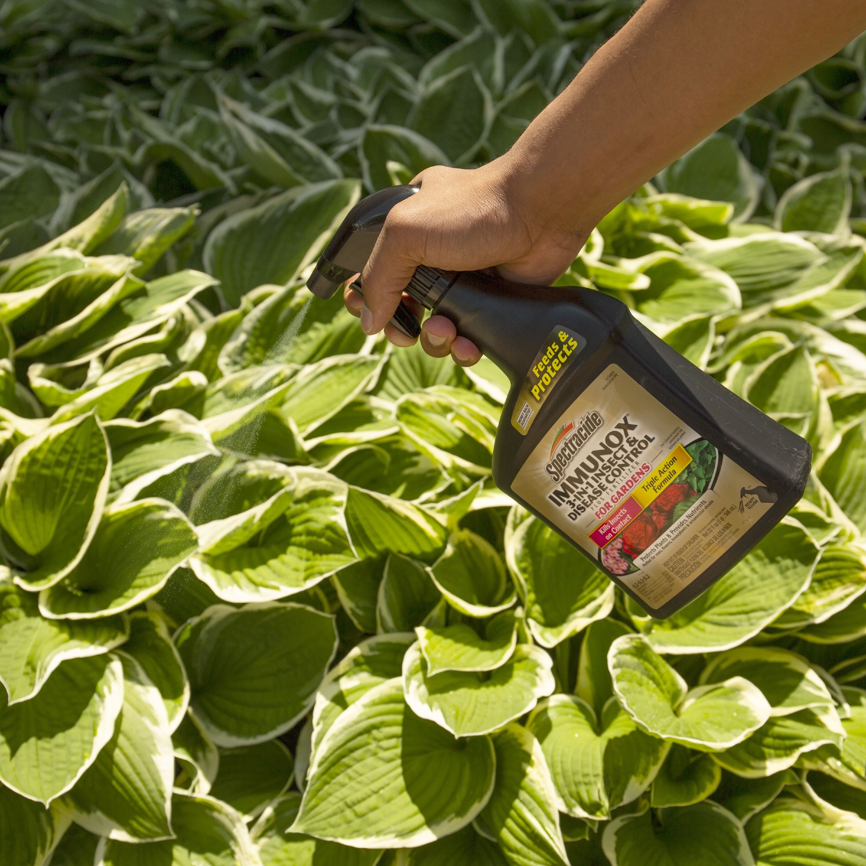 Spectracide HG-96434 pesticides - View #3