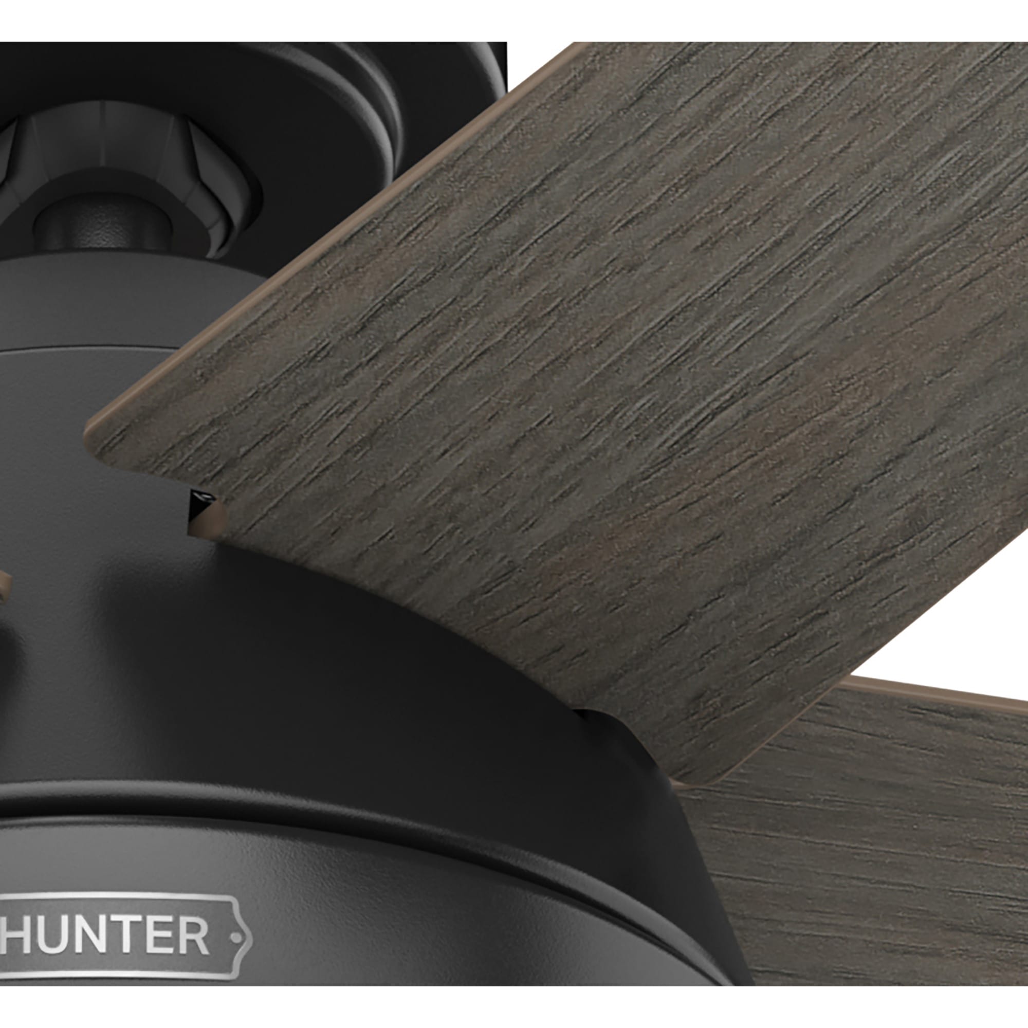 Hunter 51385 Ceiling-Fans - View #14