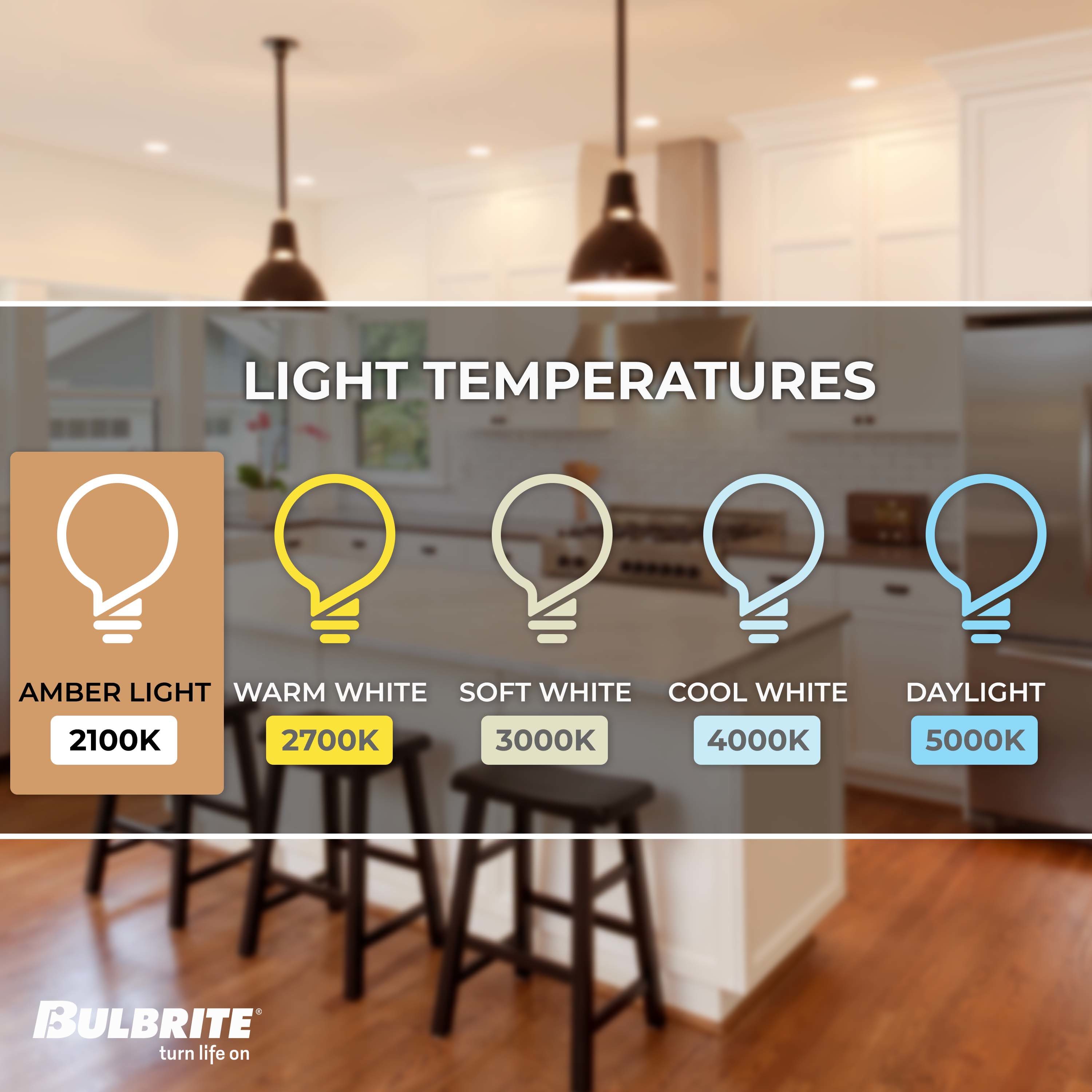 Bulbrite 137601 Dec-Led-Light-Bulbs - View #4