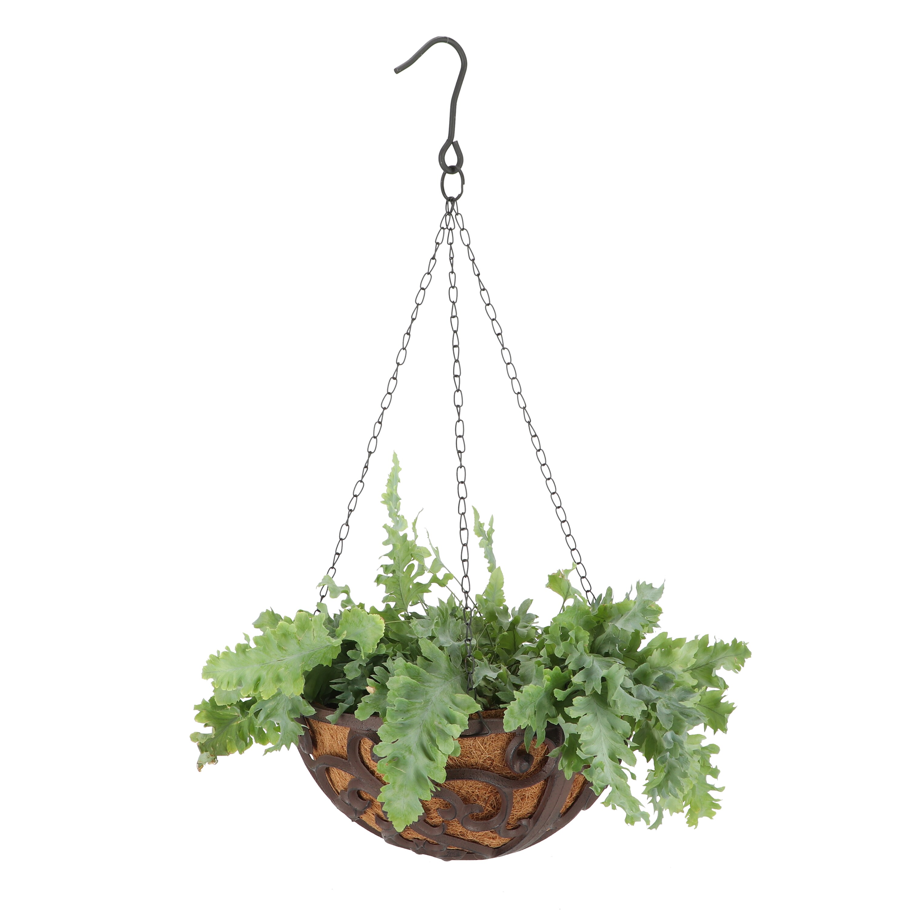 Esschert Design BPH26 Planter-Window-Box - View #10
