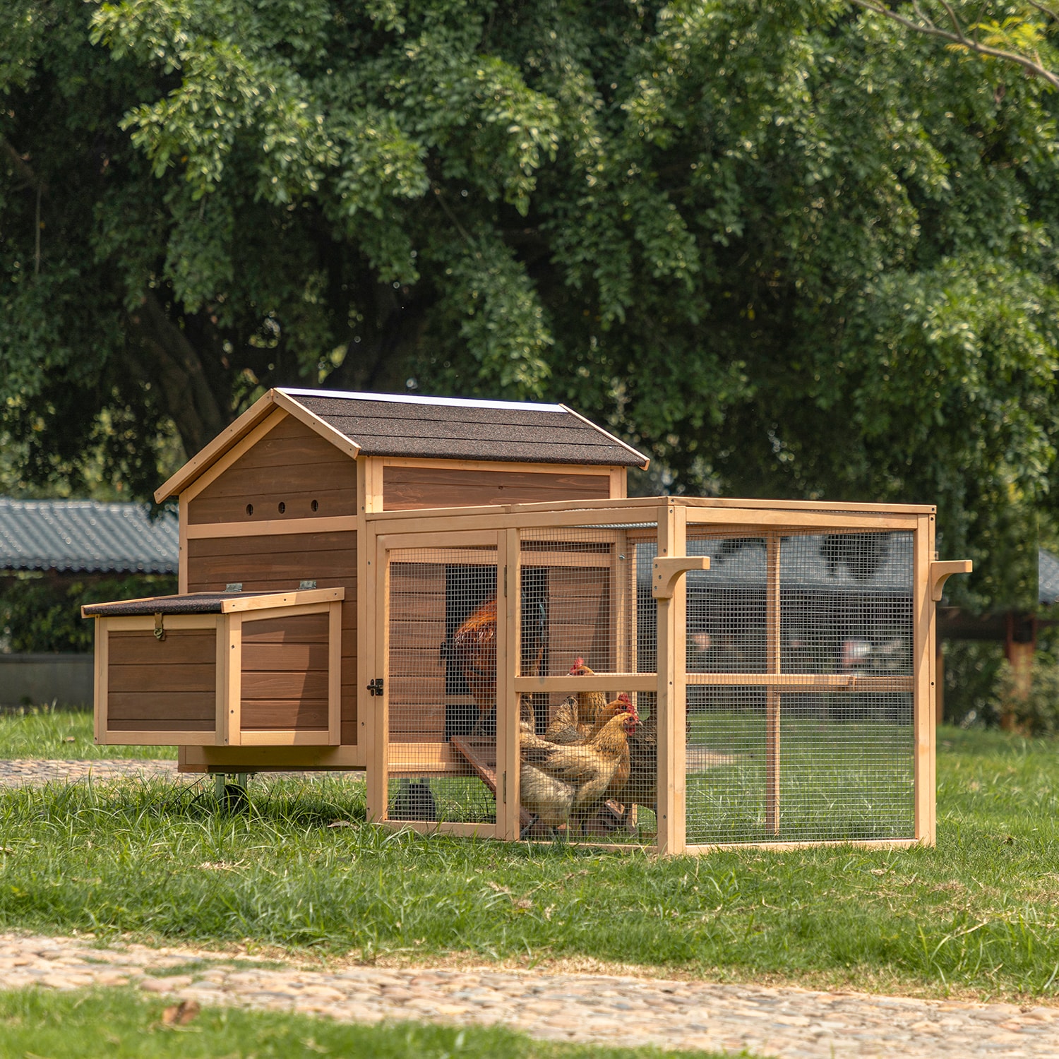 Mondawe Orange Wood Chicken Coop in the Chicken Coops & Rabbit Hutches ...