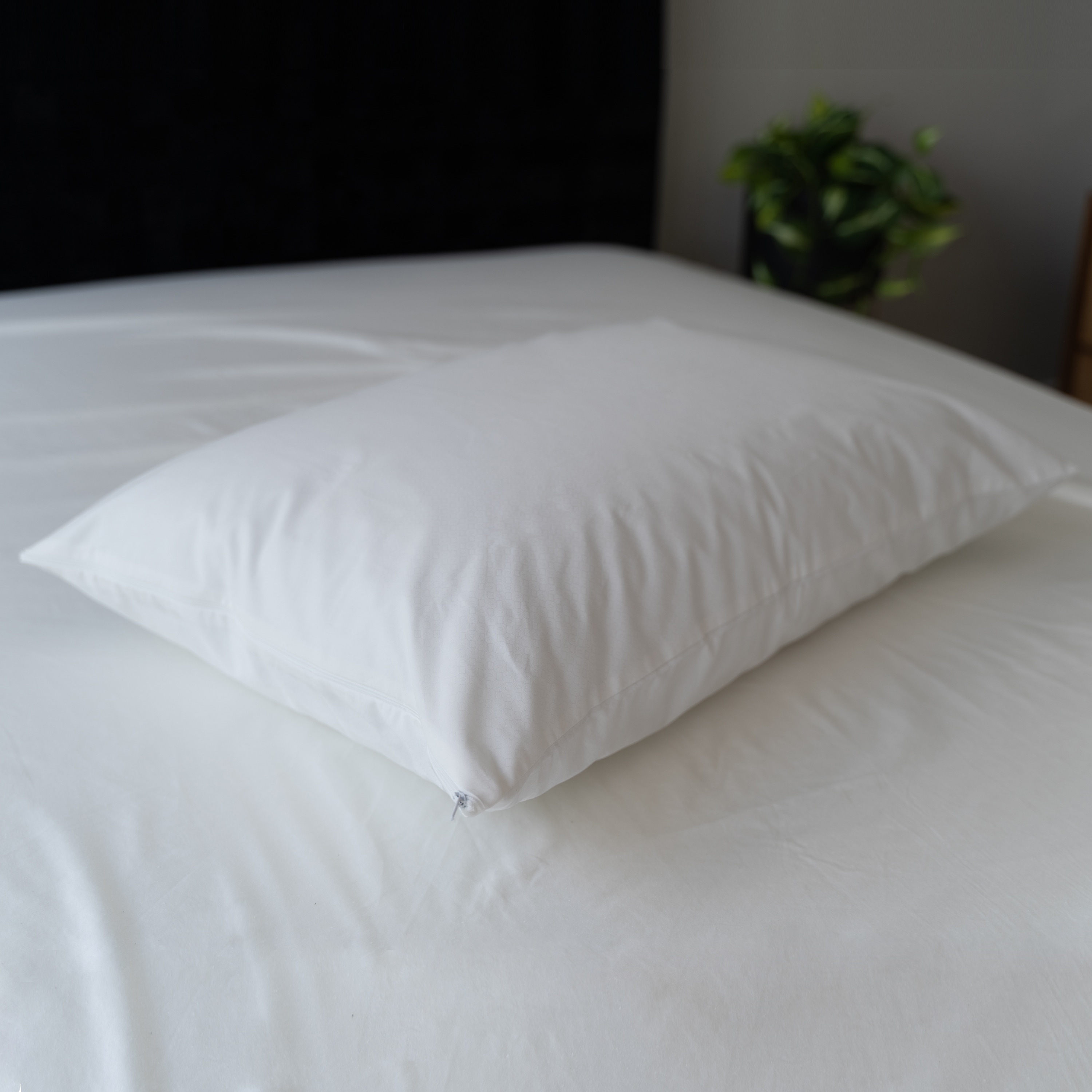 Sealy 55628ATC Pillow-Protectors - View #2