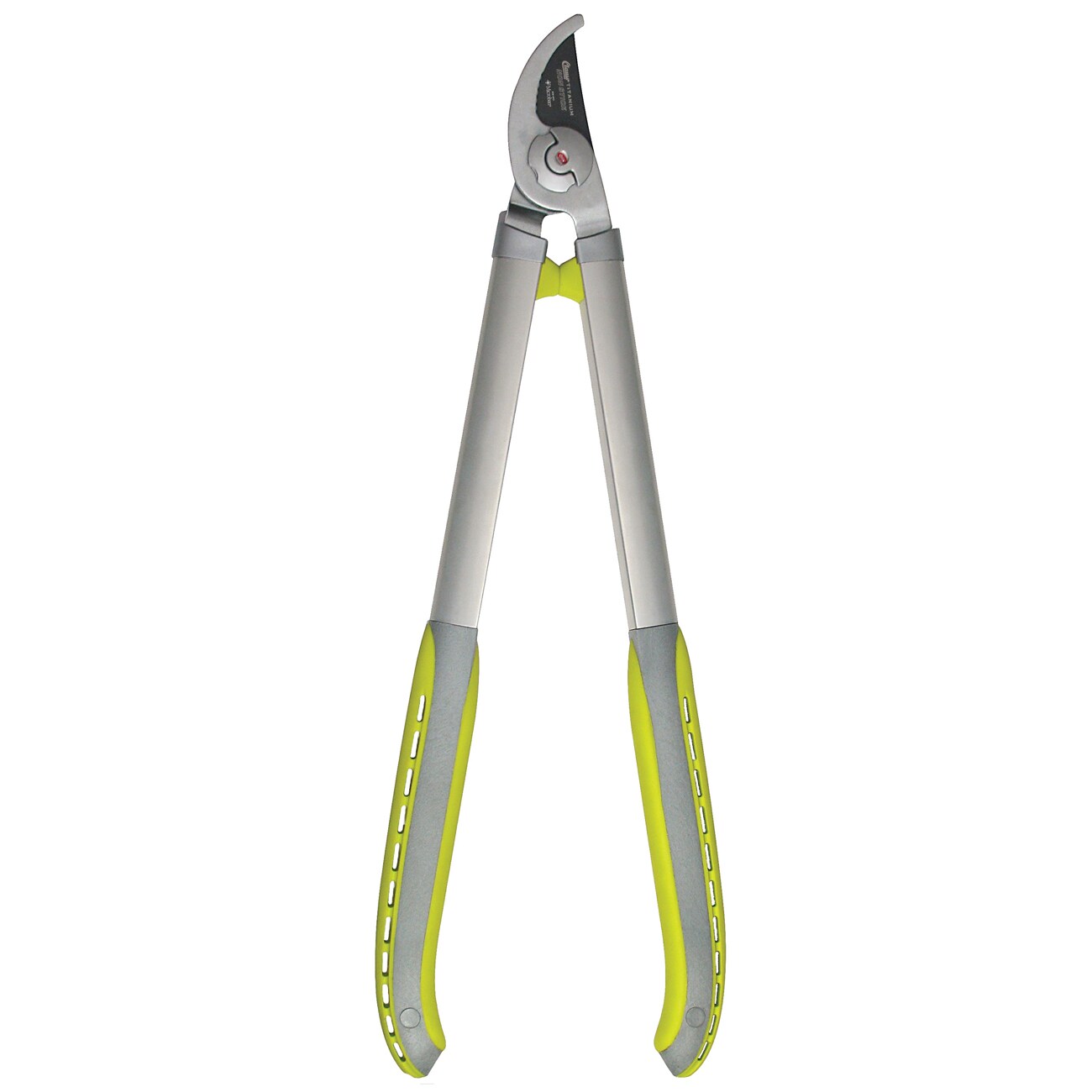 Lopping deals shears lowes