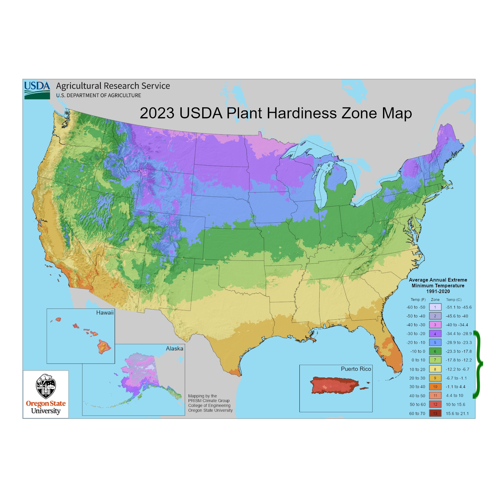 Lowe's 1857399 shrubs - View #4