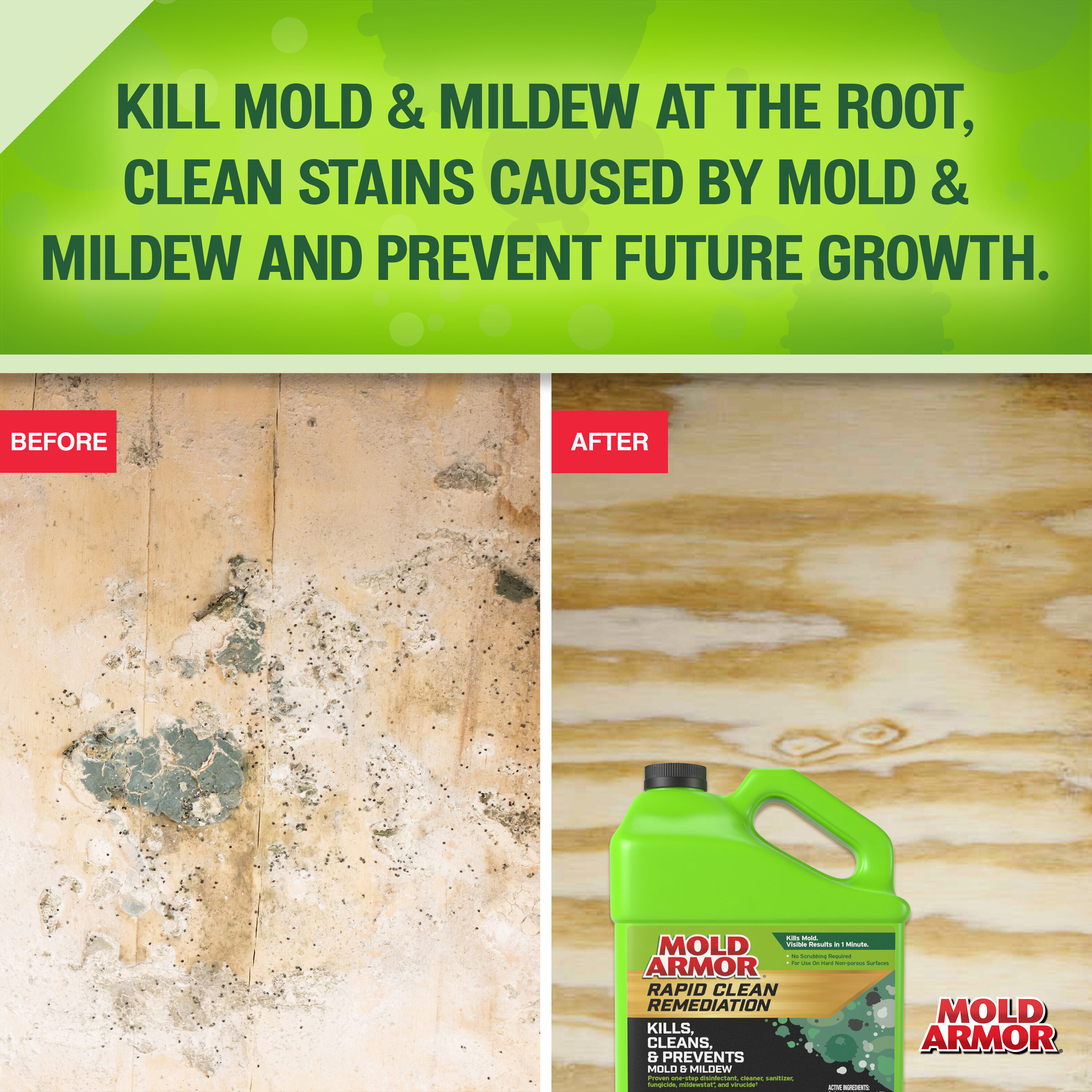 Reviews for Mold Armor Do It Yourself Mold Test Kit, DIY At Home