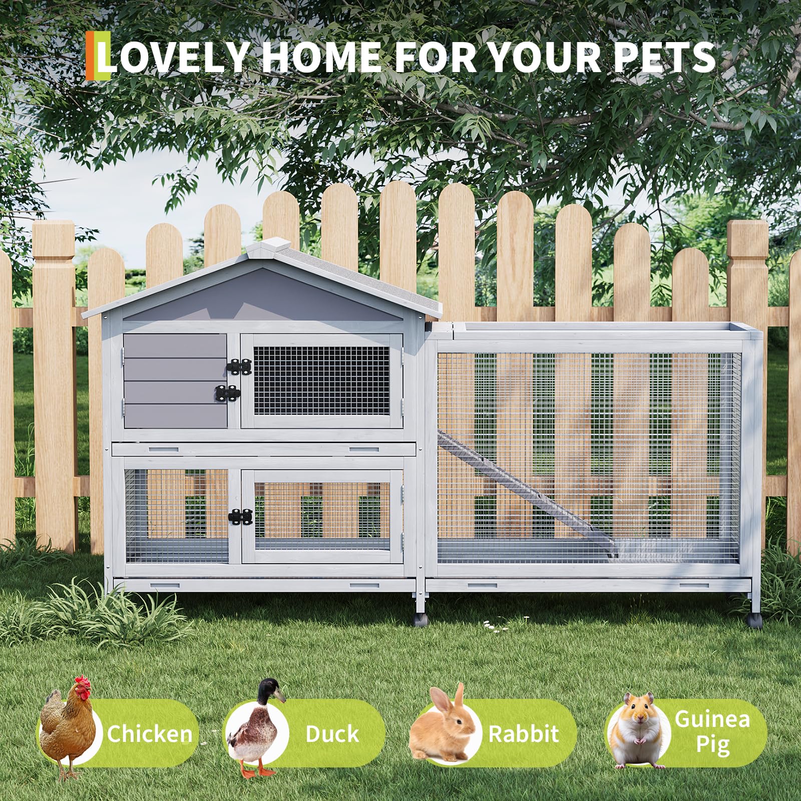 DEXSO ENCOREPPSBA4251 Chicken-Coops-Rabbit-Hutches - View #2