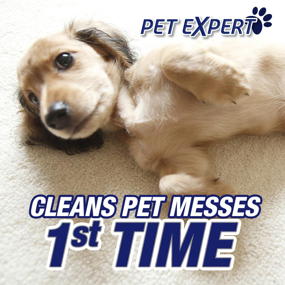 Reviews for Resolve 22 oz. Easy Clean Pet Expert Foam Carpet