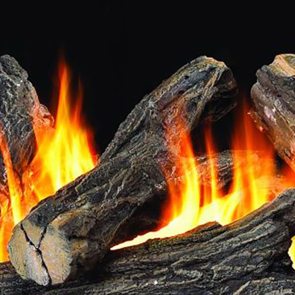 ProCom WAN24N-2 Gas-Logs - View #5