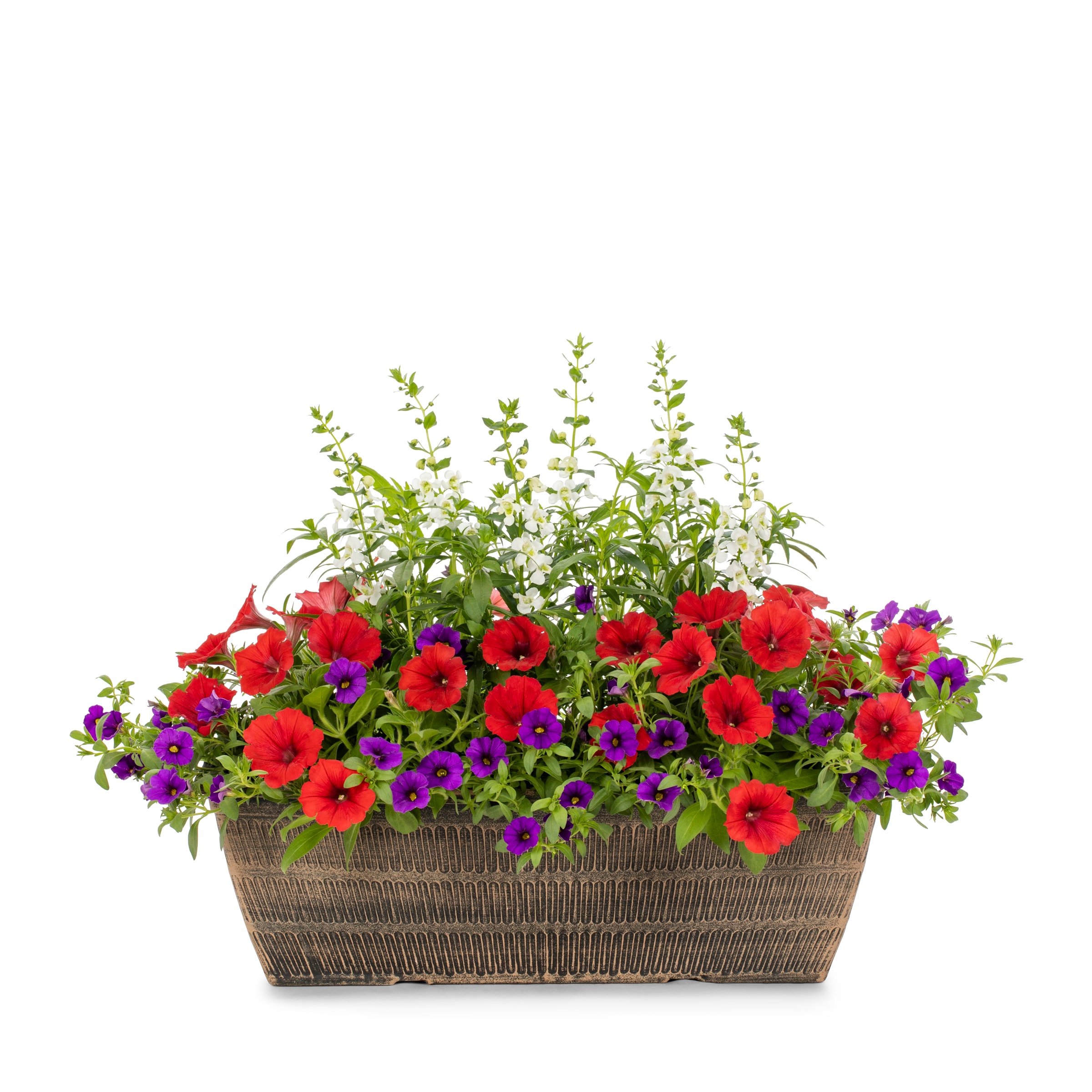 Lowe's NURSERY Multicolor Mixed Annuals Combinations in 2.50 Gallon(s) Planter