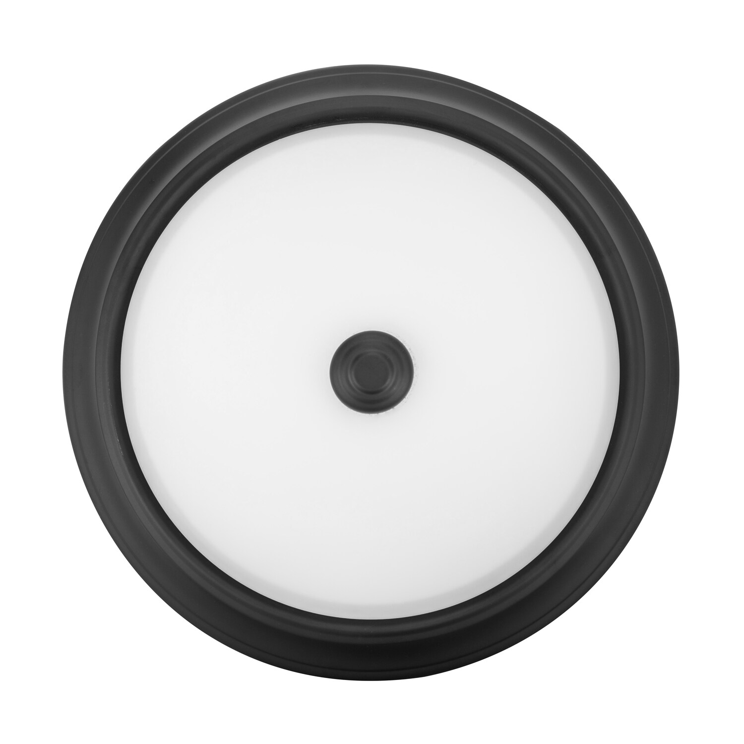 project source 13 inch flush mount light