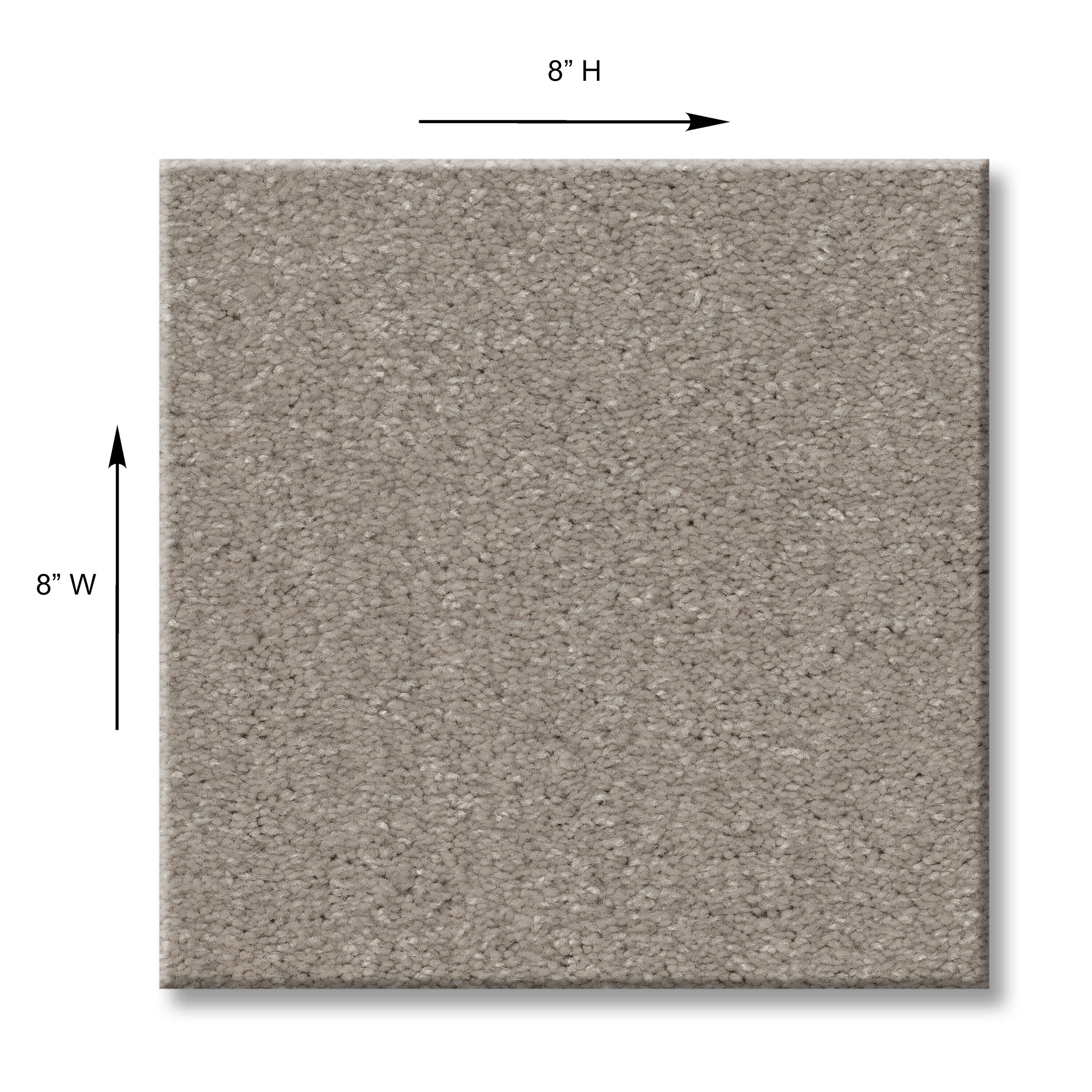 STAINMASTER 7L766-106-SAMP Carpet-Samples - View #7