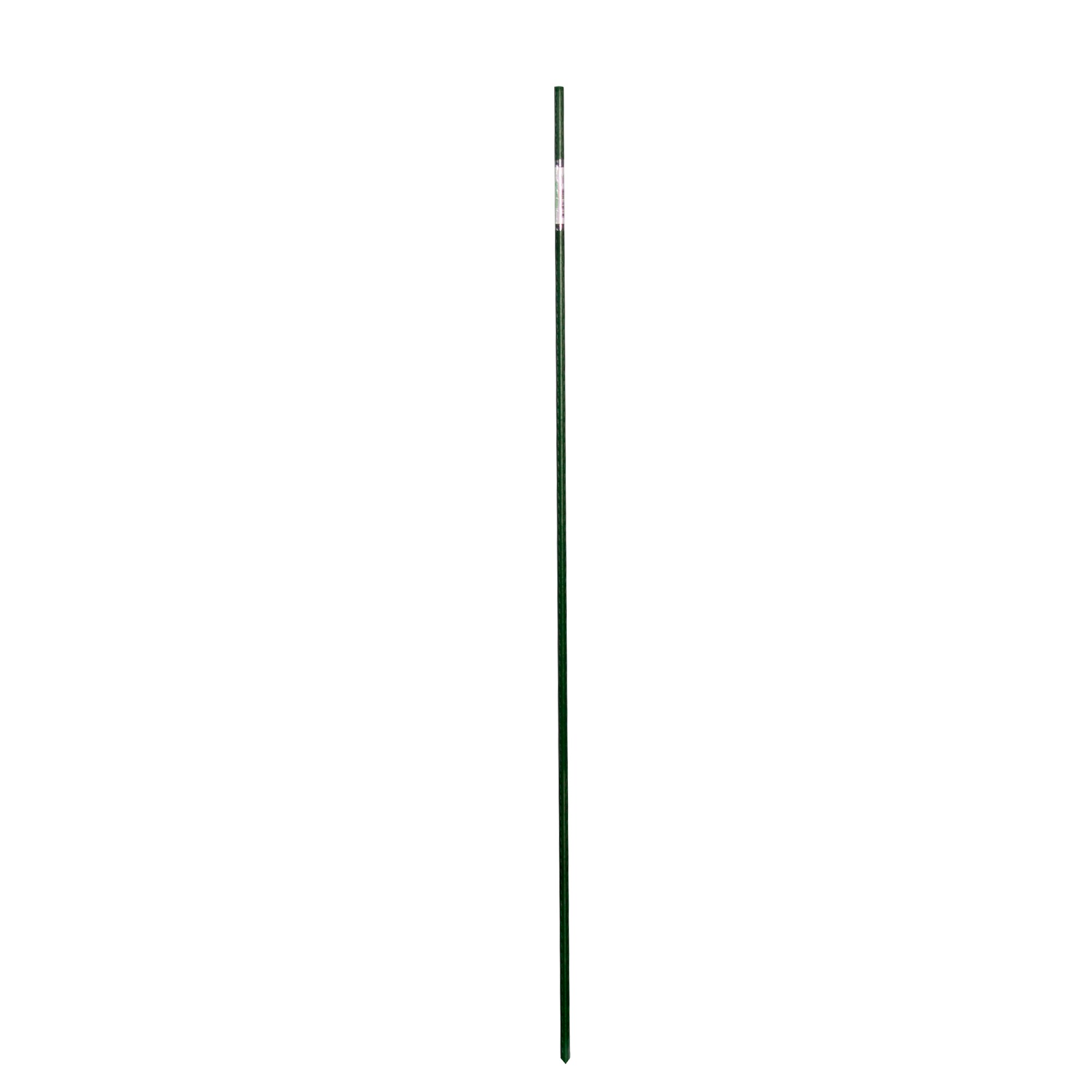 Project Source 831091 Landscape-Stakes - View #2