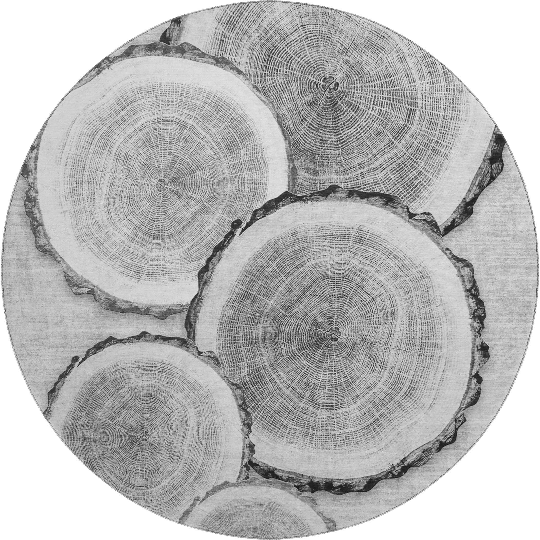 Addison Rugs AMF573BU10X14 rugs - View #2