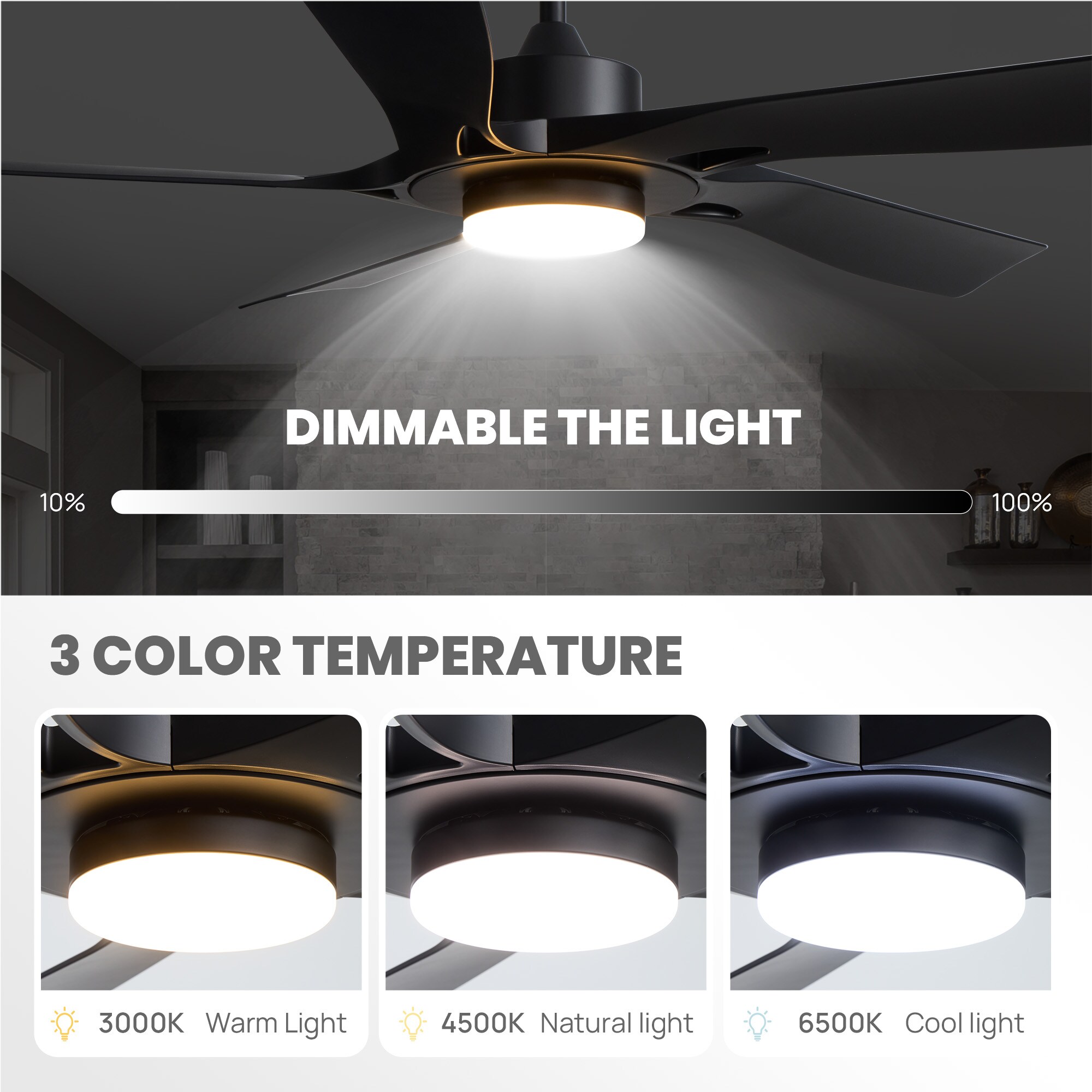 Antoine LSFD-25 Ceiling-Fans - View #8