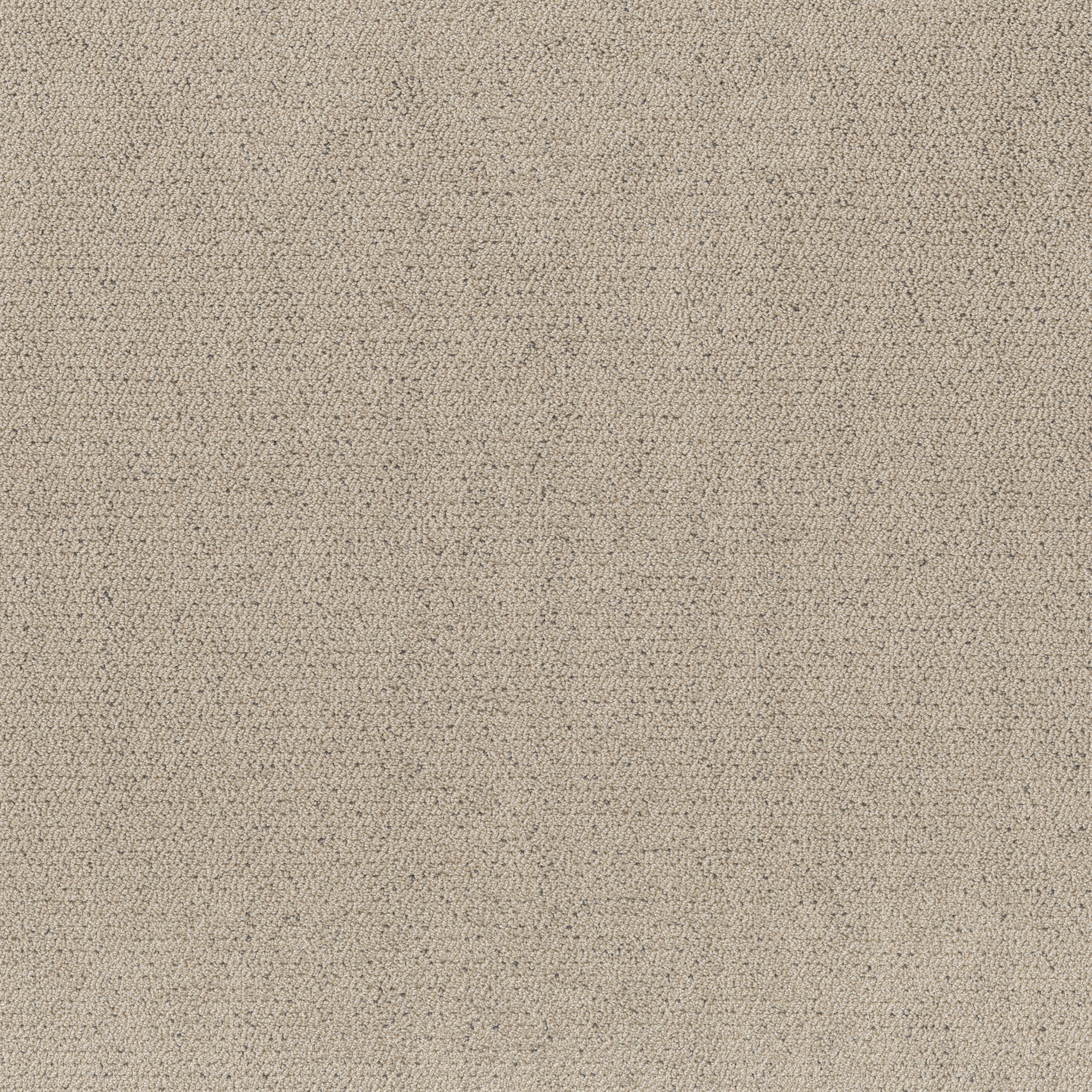 STAINMASTER 7L877 - 116 - SAMP (Sample) High Achiever Warm Light Multi-Colored 43.9-oz sq yard Polyester Textured Indoor Carpet
