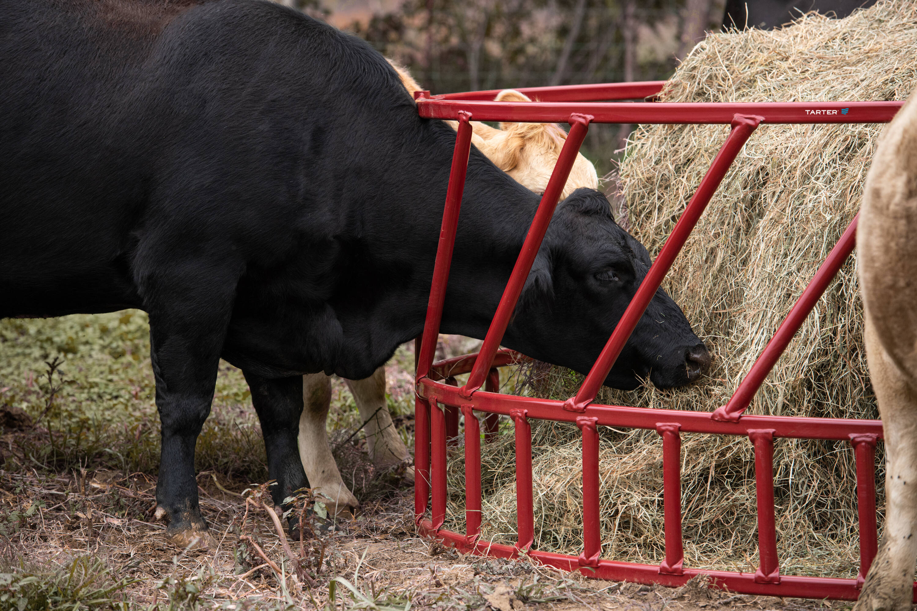 Tarter 14G2O Farm-Ranch-Feeders - View #3