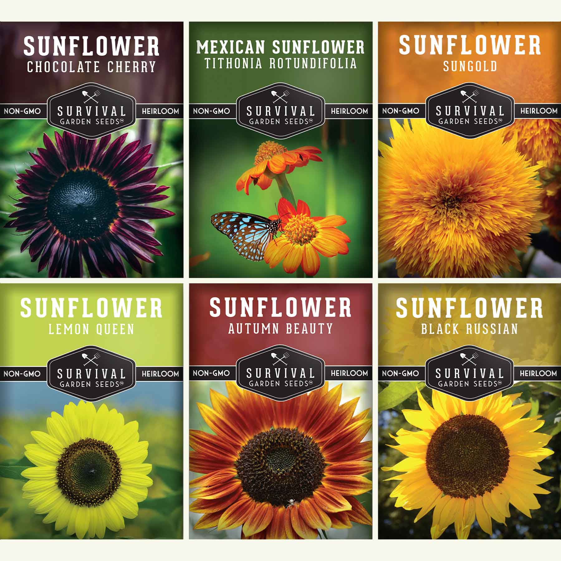 Survival Garden Seeds Sunflower 6 Packet Seed Collection for