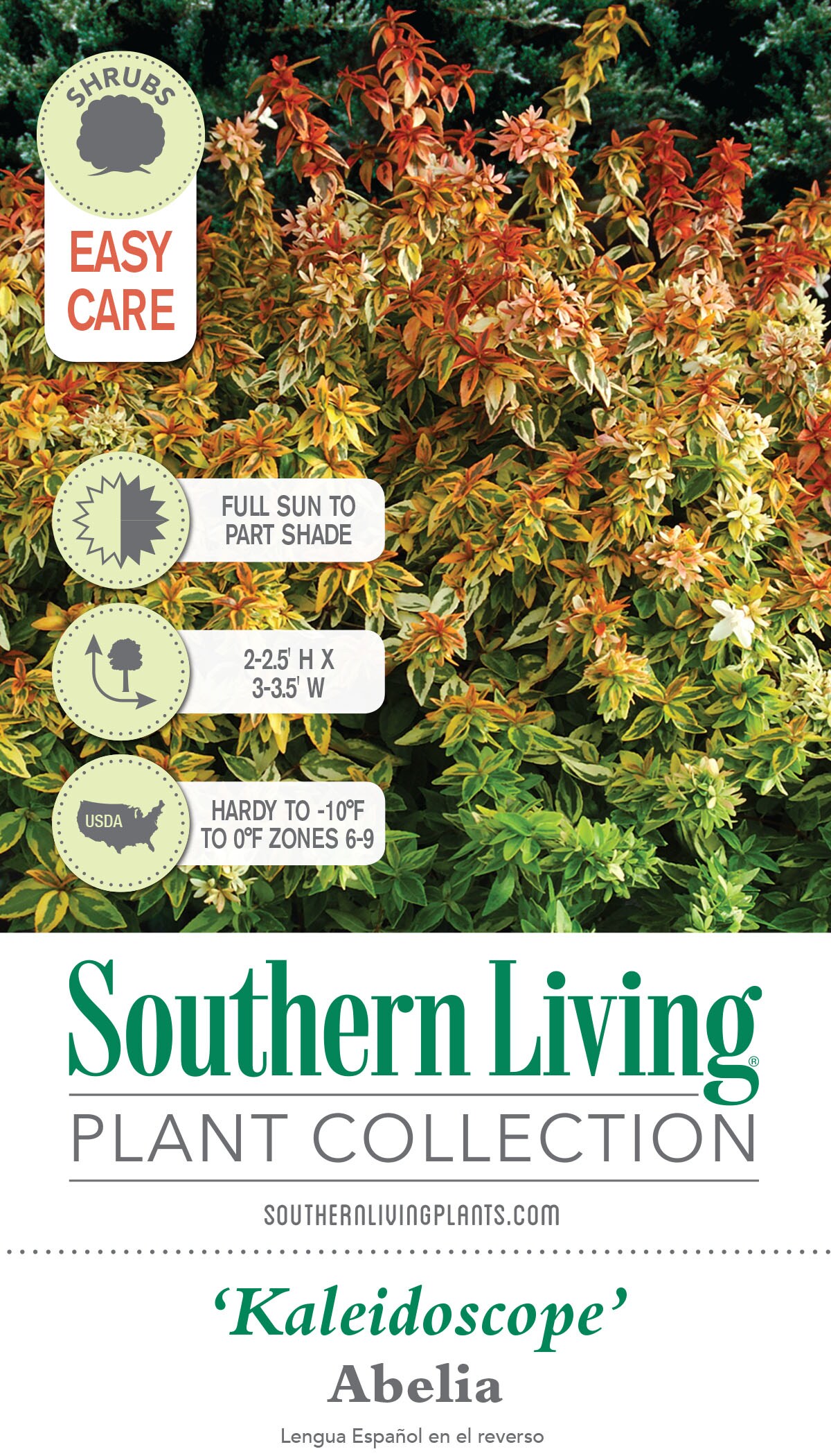 Southern Living 0153Q-1 shrubs - View #7