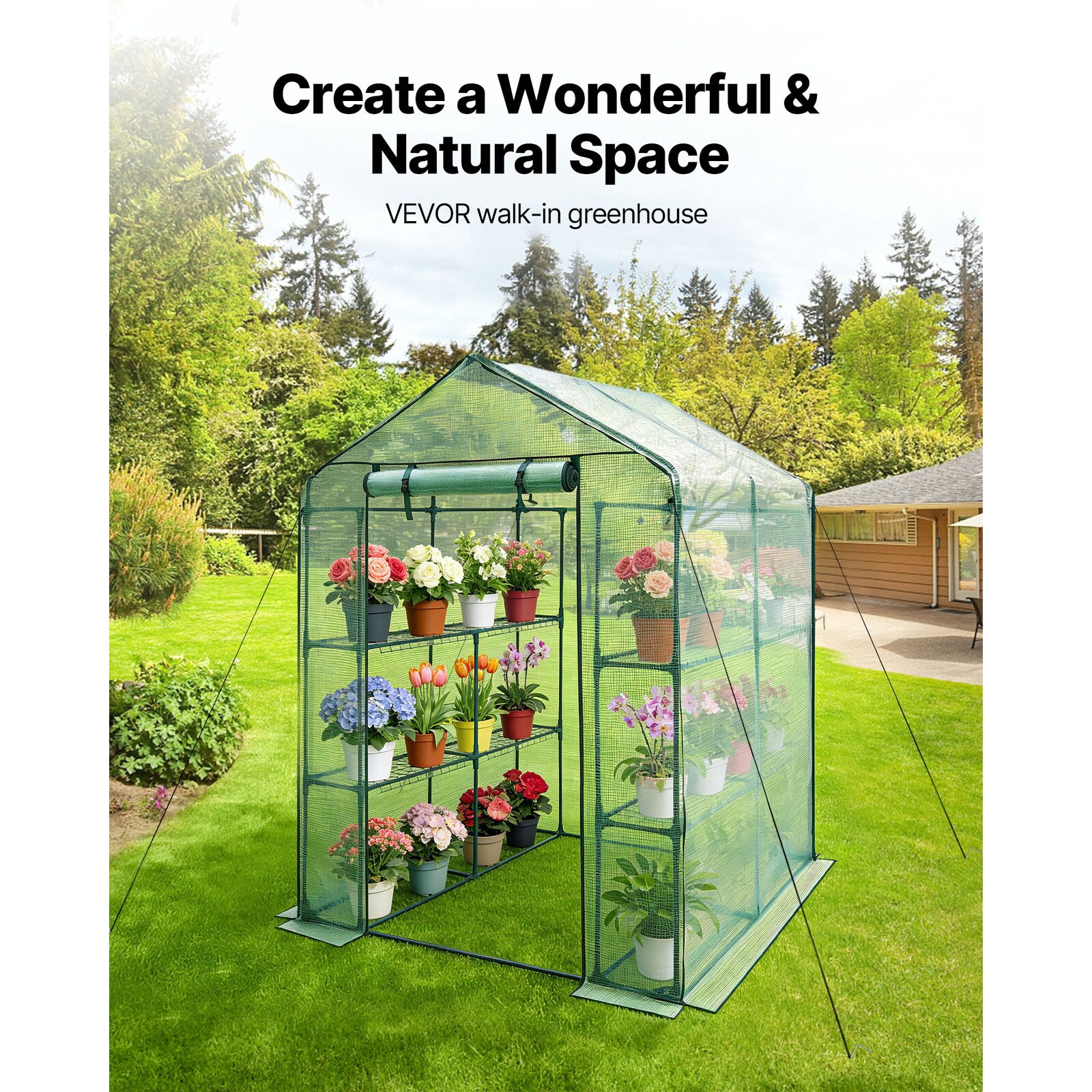 Mecale VOL-A56P13 greenhouses - View #4