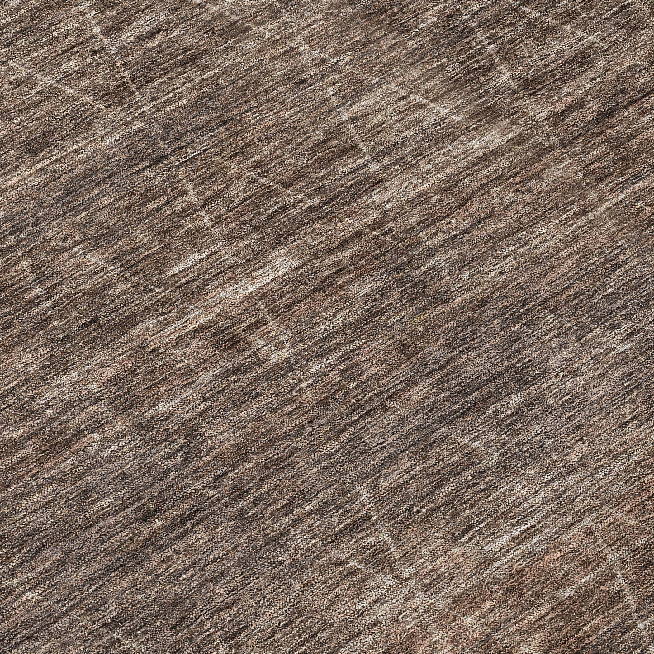 Addison Rugs ACN1165CF30X46 rugs - View #6
