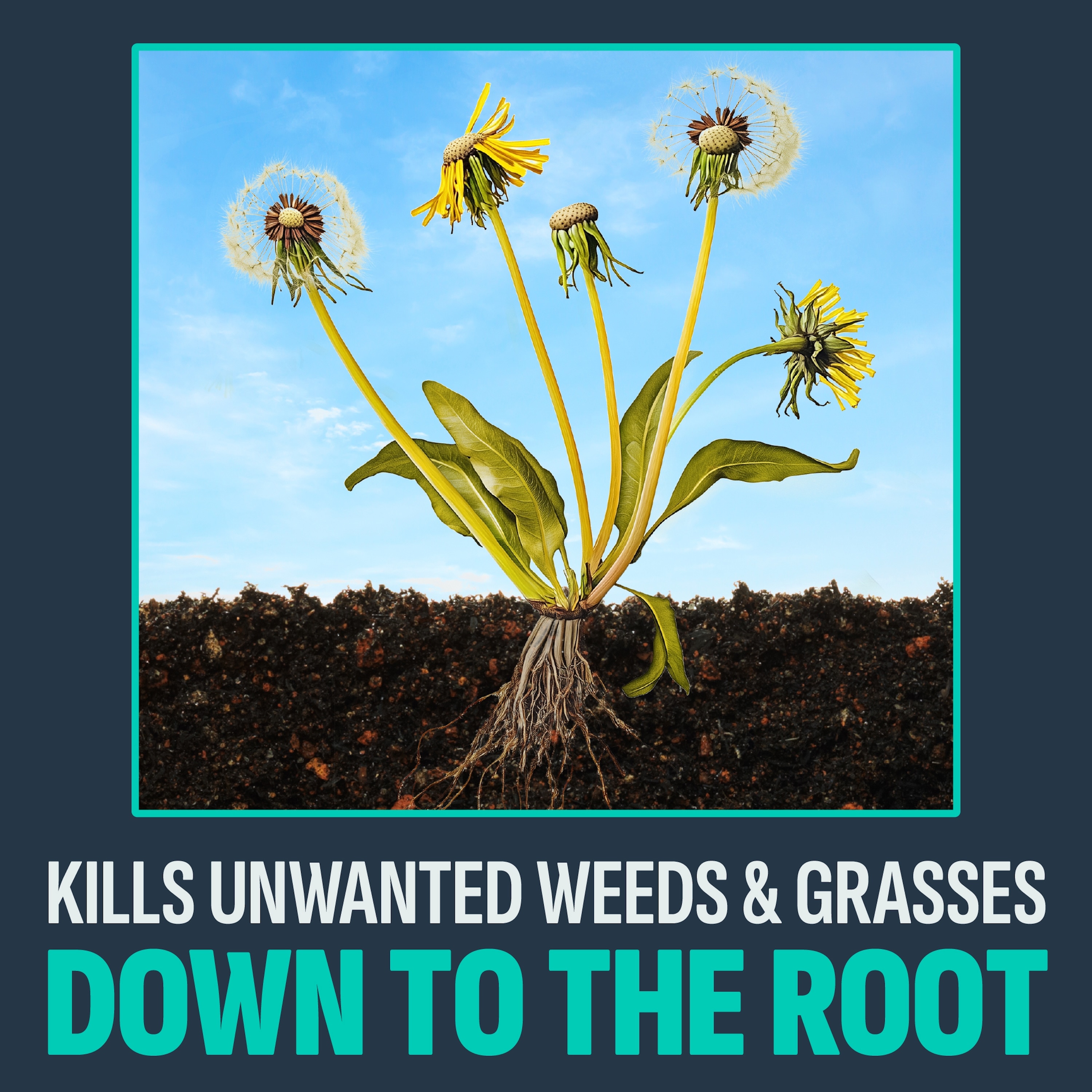 IMAGE 7062460009 Weed-Killers - View #5