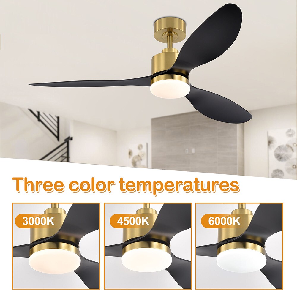 Lamober 300SH07-GD Ceiling-Fans - View #6