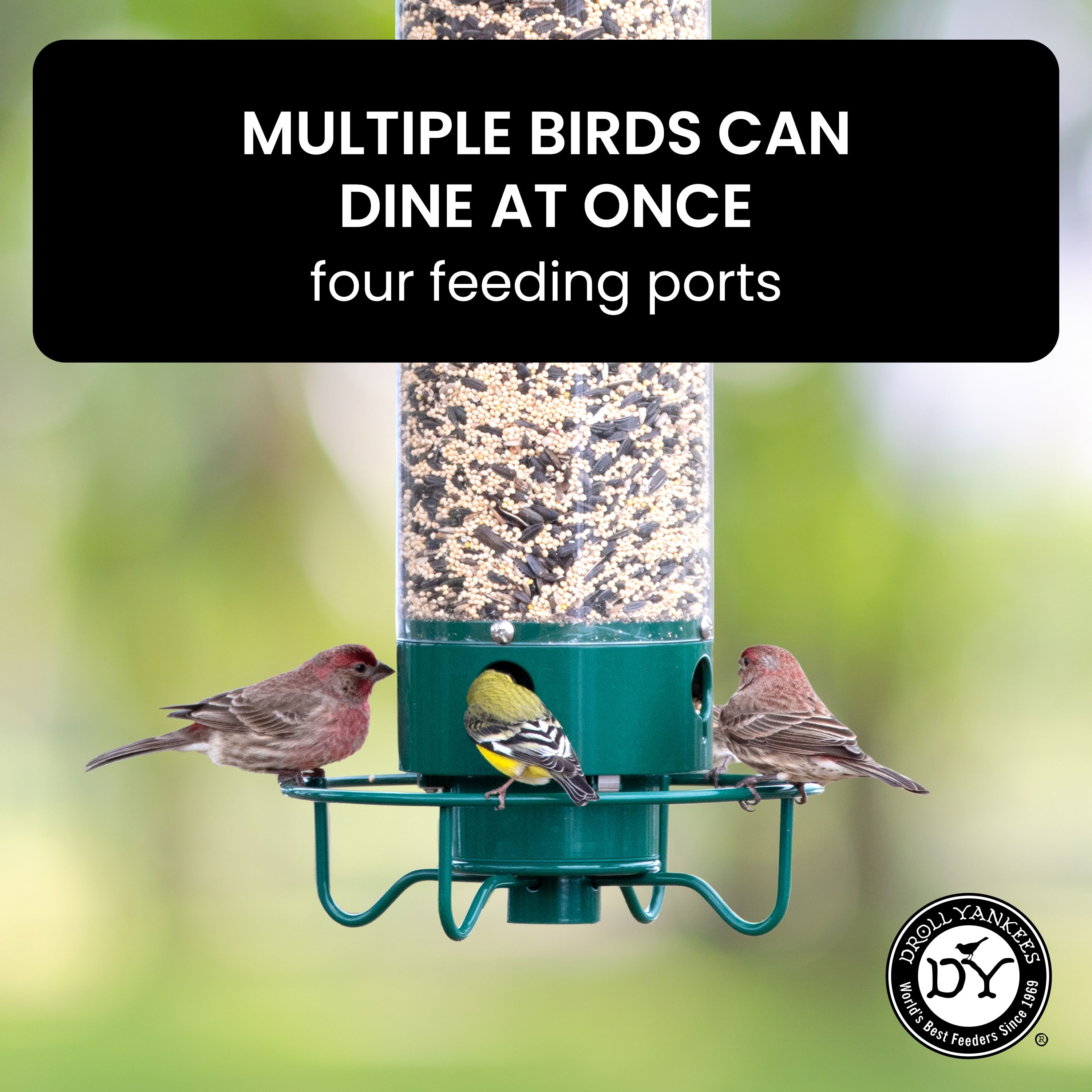 Droll Yankees YF-M Bird-Feeders - View #12