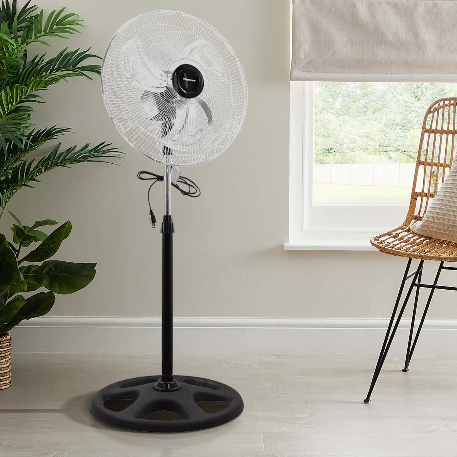 Siavonce XH77RGXP m090300 - View #5