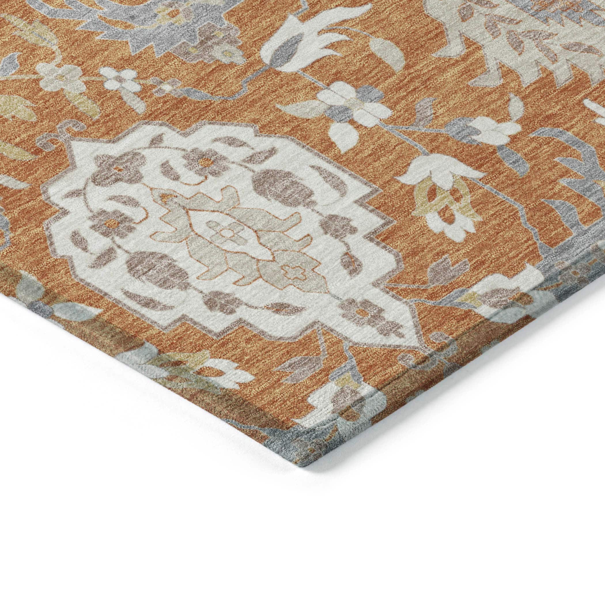 Addison Rugs ACN1026CP30X46 rugs - View #4