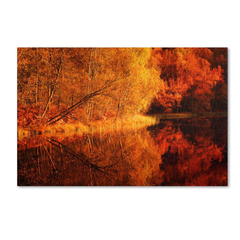 Trademark Fine Art PSL0408-C3047GG Framed 30-in H x 47-in W Landscape Print on Canvas