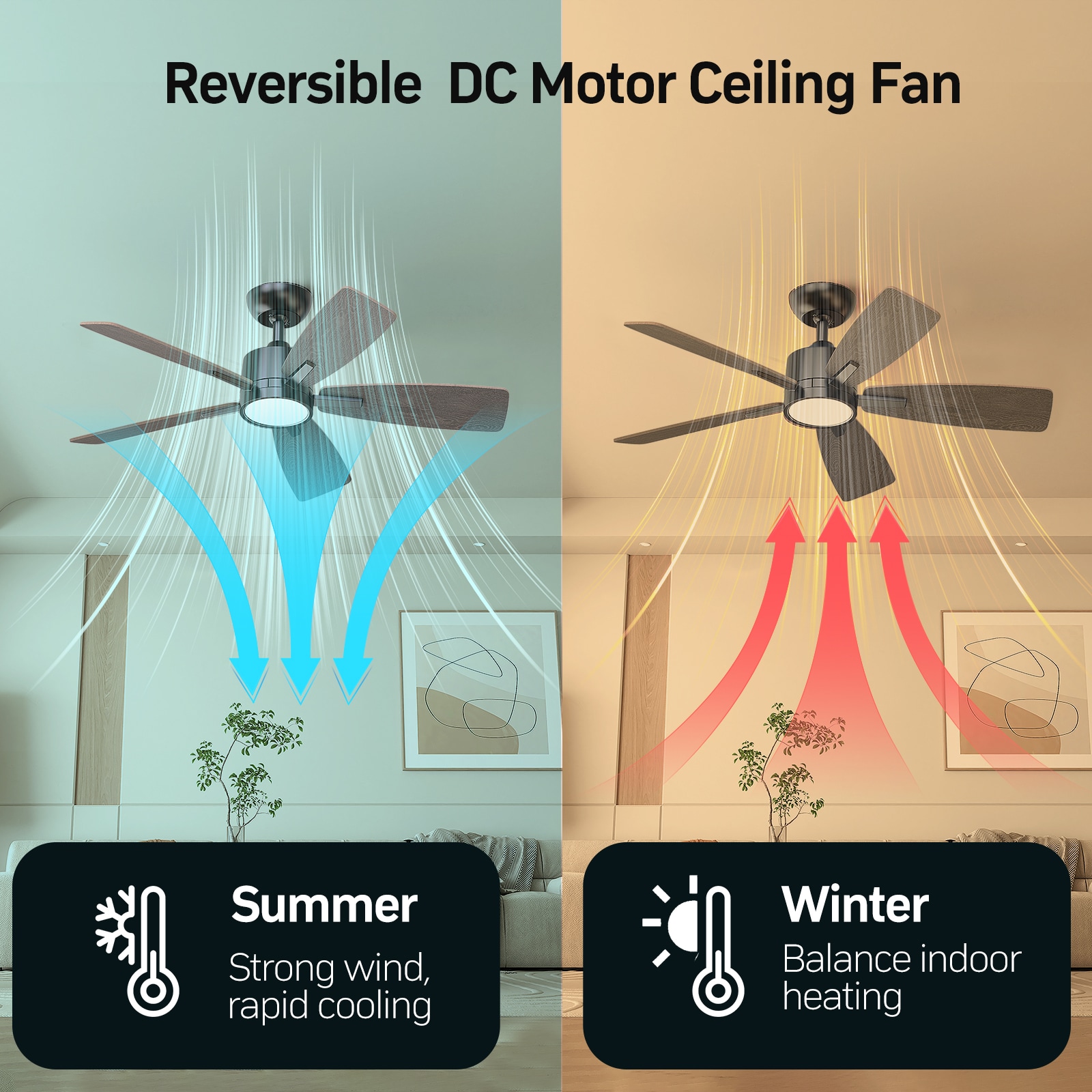 TALOYA TLY42-WE-5D-S5 Ceiling-Fans - View #3