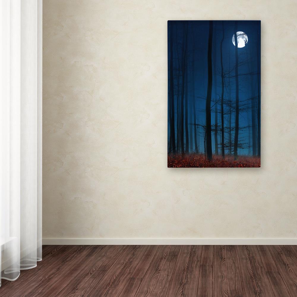 Trademark Fine Art PSL0263-C1219GG Wall-Art - View #3
