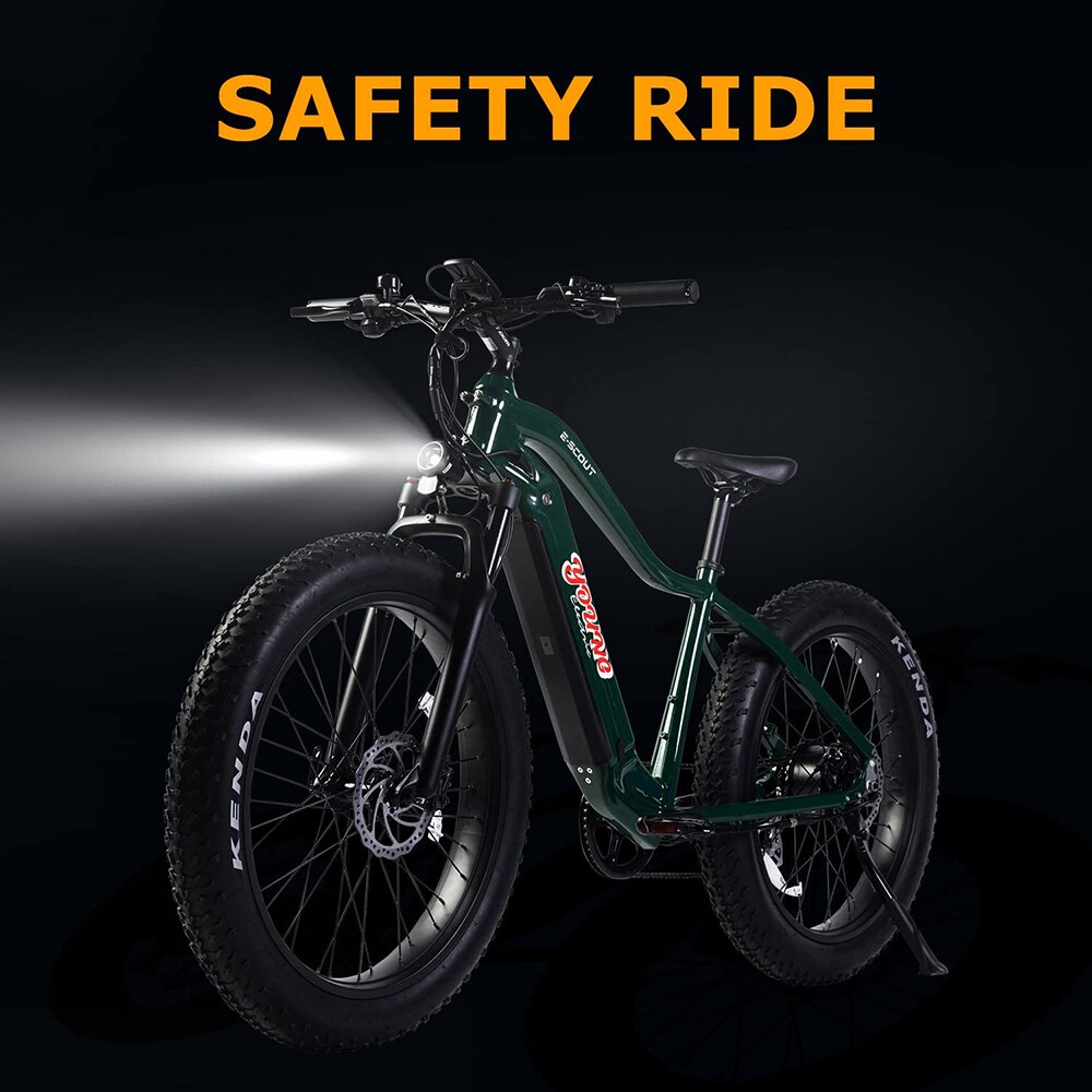 Young Electric 12803010GRN bikes - View #7