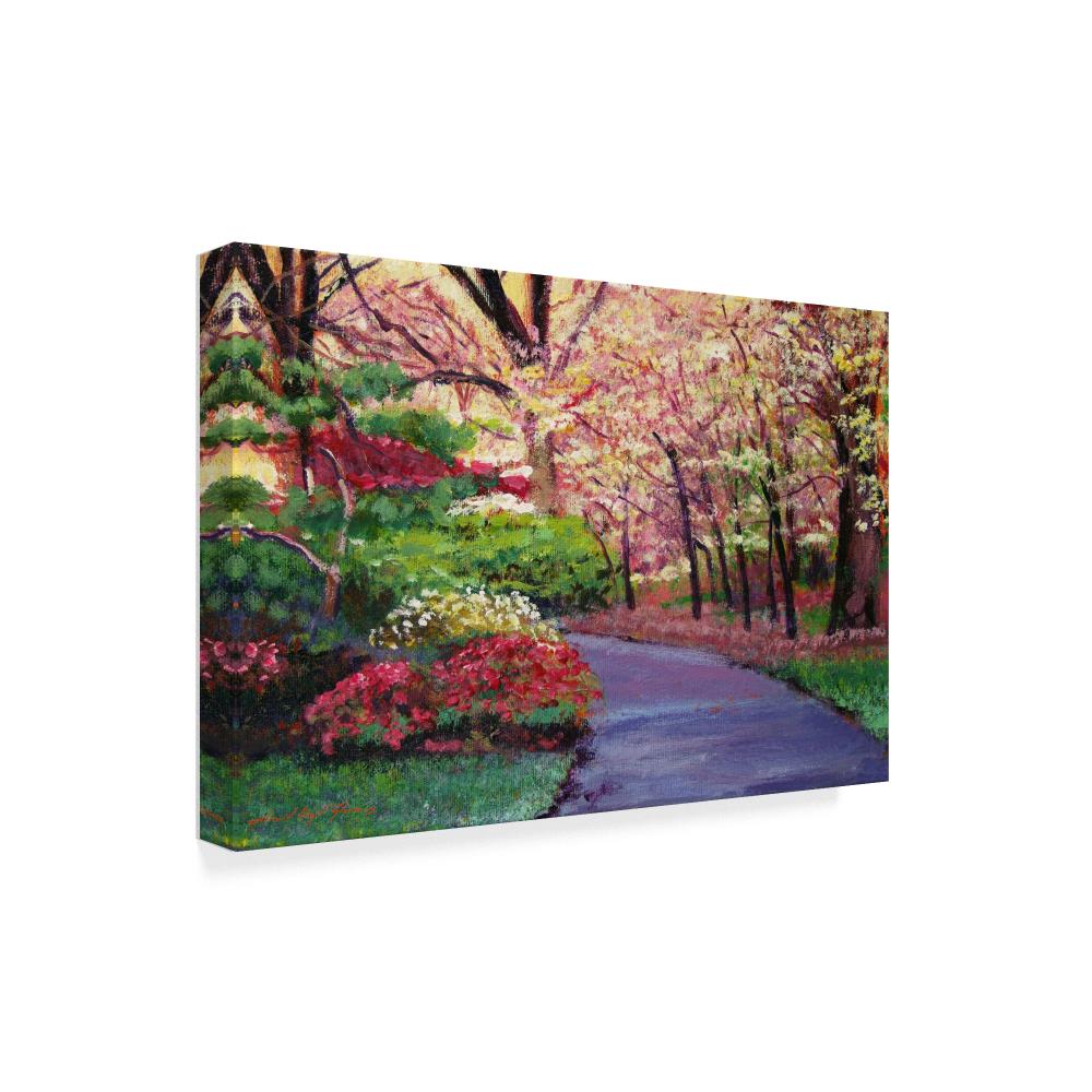 Trademark Fine Art Framed 22-in H x 32-in W Floral Print on Canvas at ...