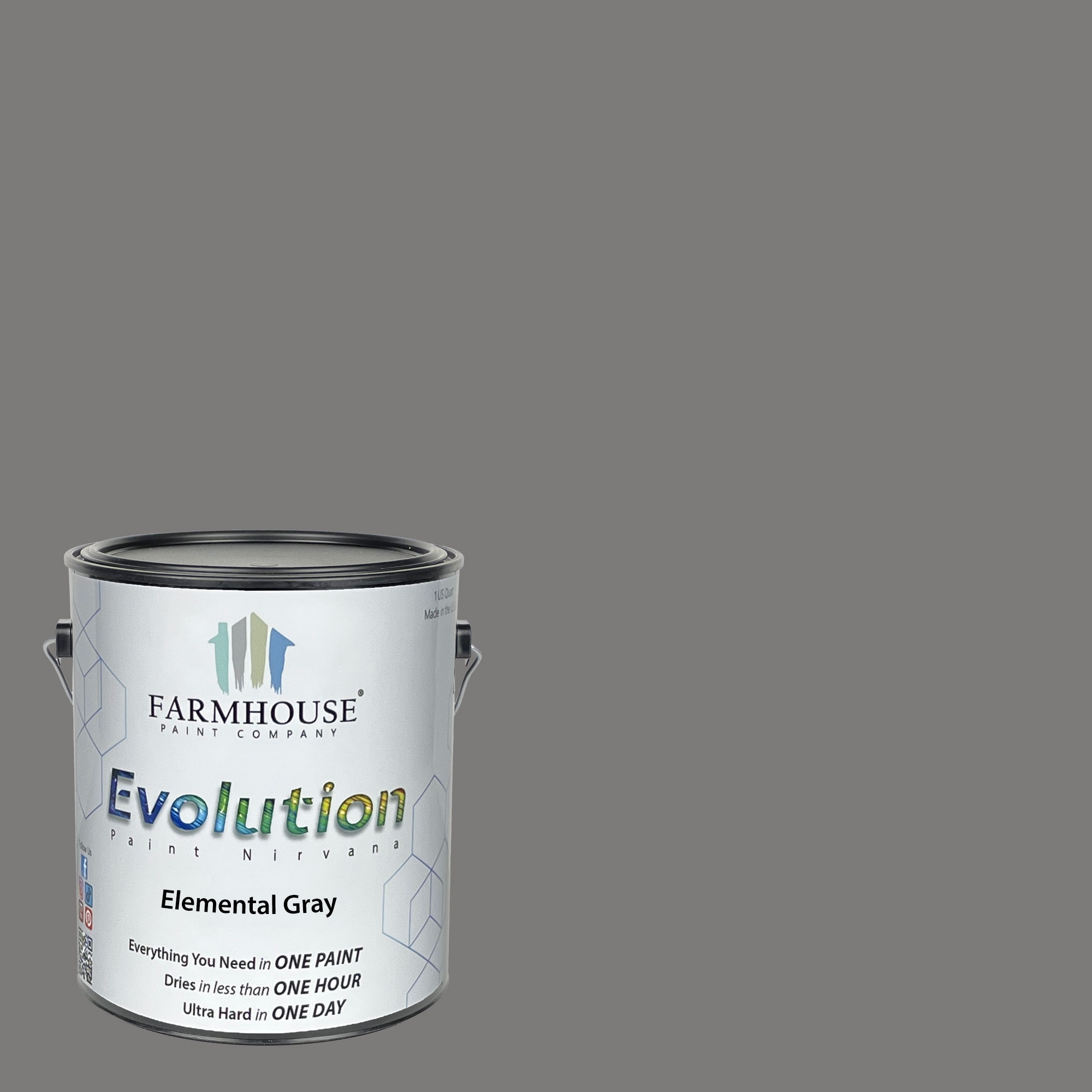 Evolution Paint EVP-EG-G Satin Elemental Gray Enamel ( 1-gallon )