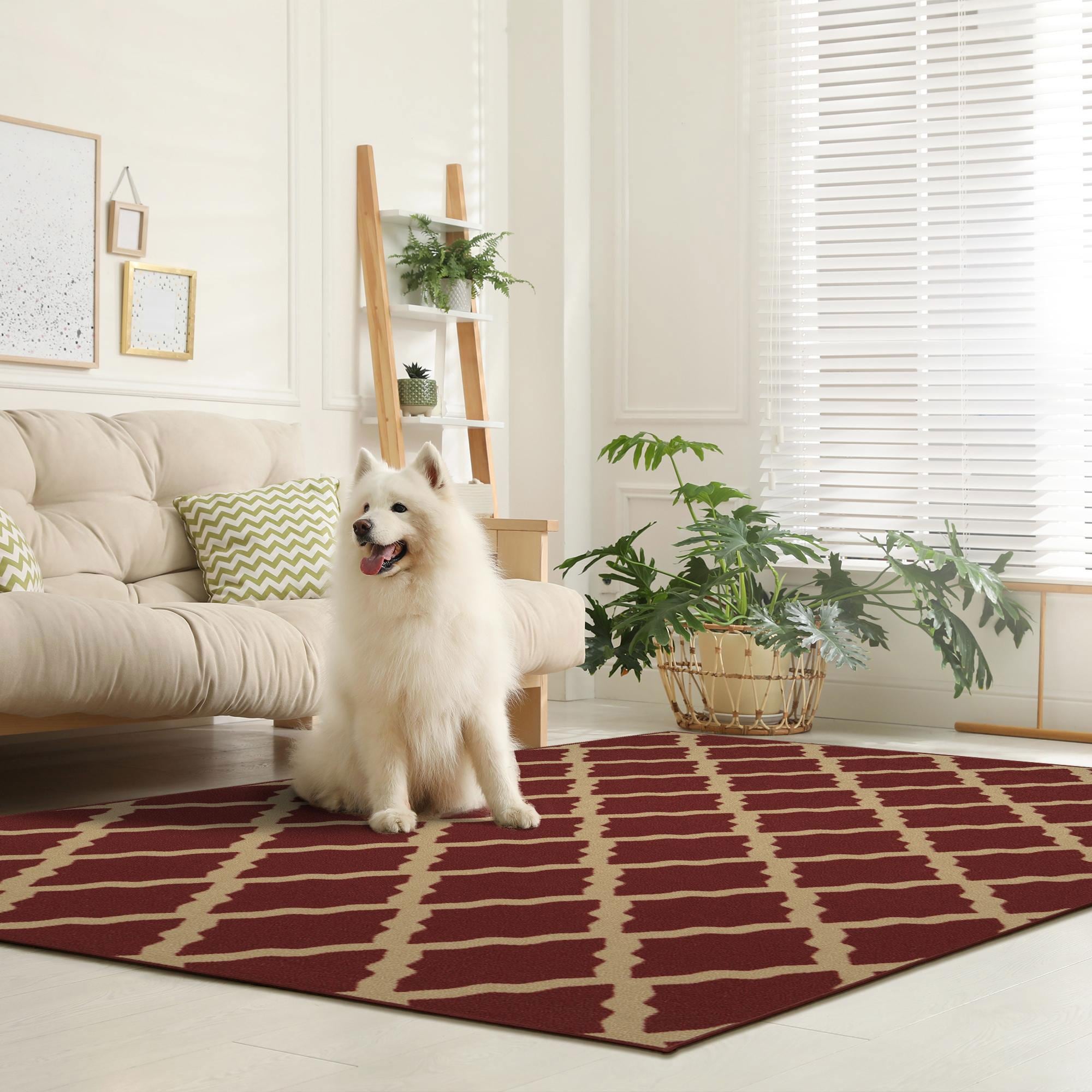 Ottomanson CLS3320-5X7 Classics 5 x 7 (ft) Loomed Nylon Red Rectangular Indoor Trellis Area rug